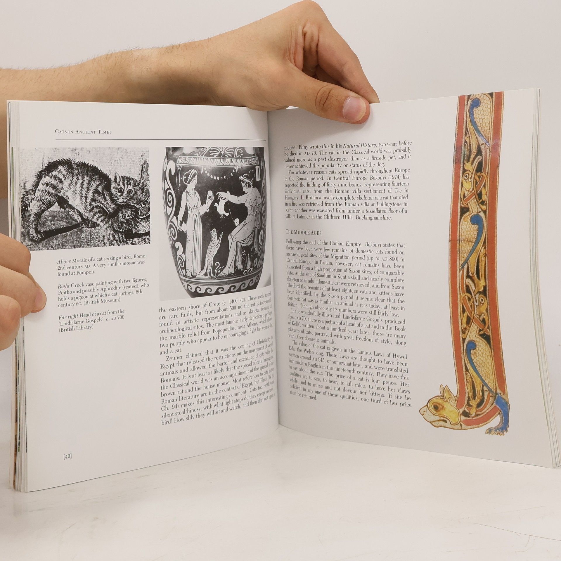 Juliet Clutton-Brock The British Museum Book of Cats