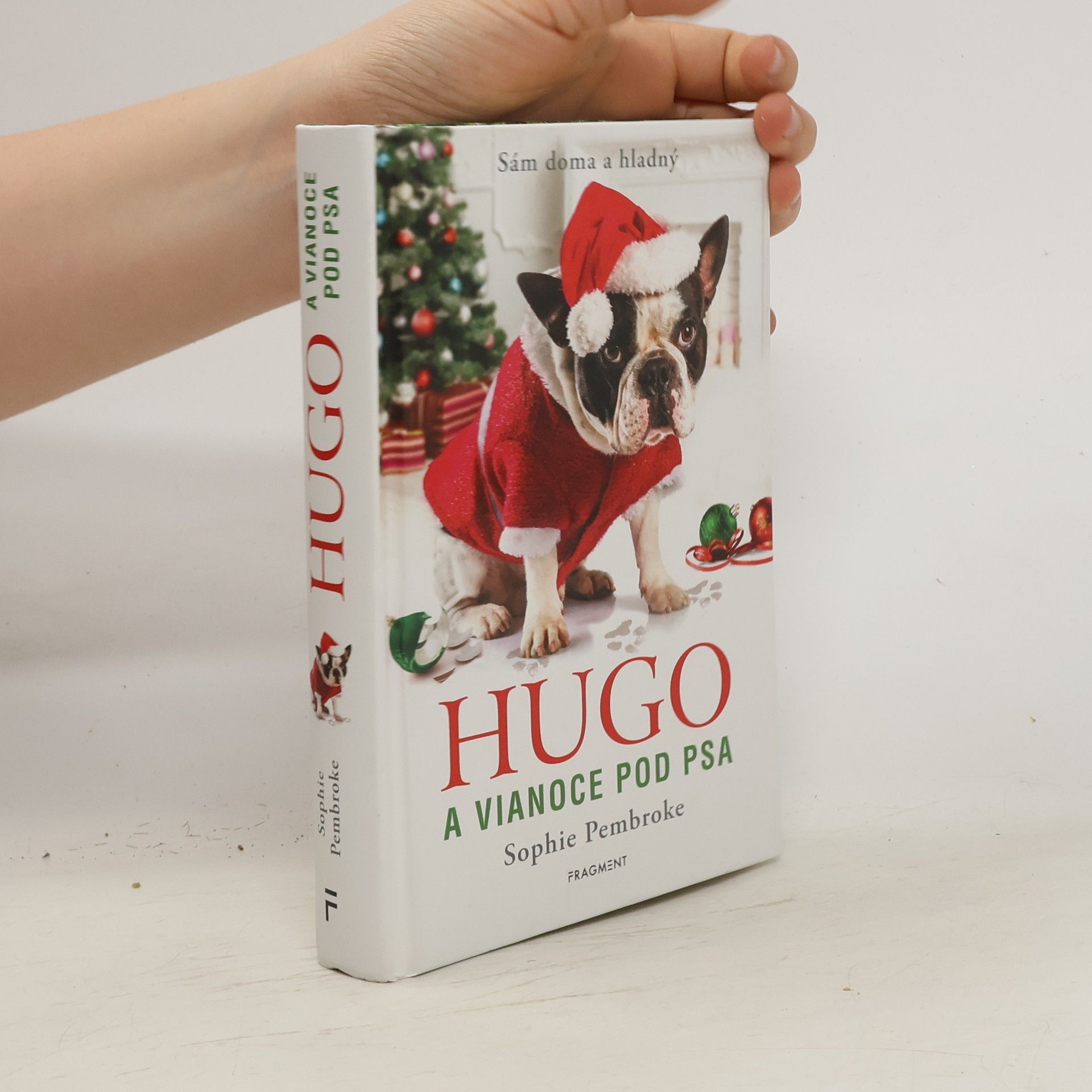 Sophie Pembroke Hugo a Vianoce pod psa