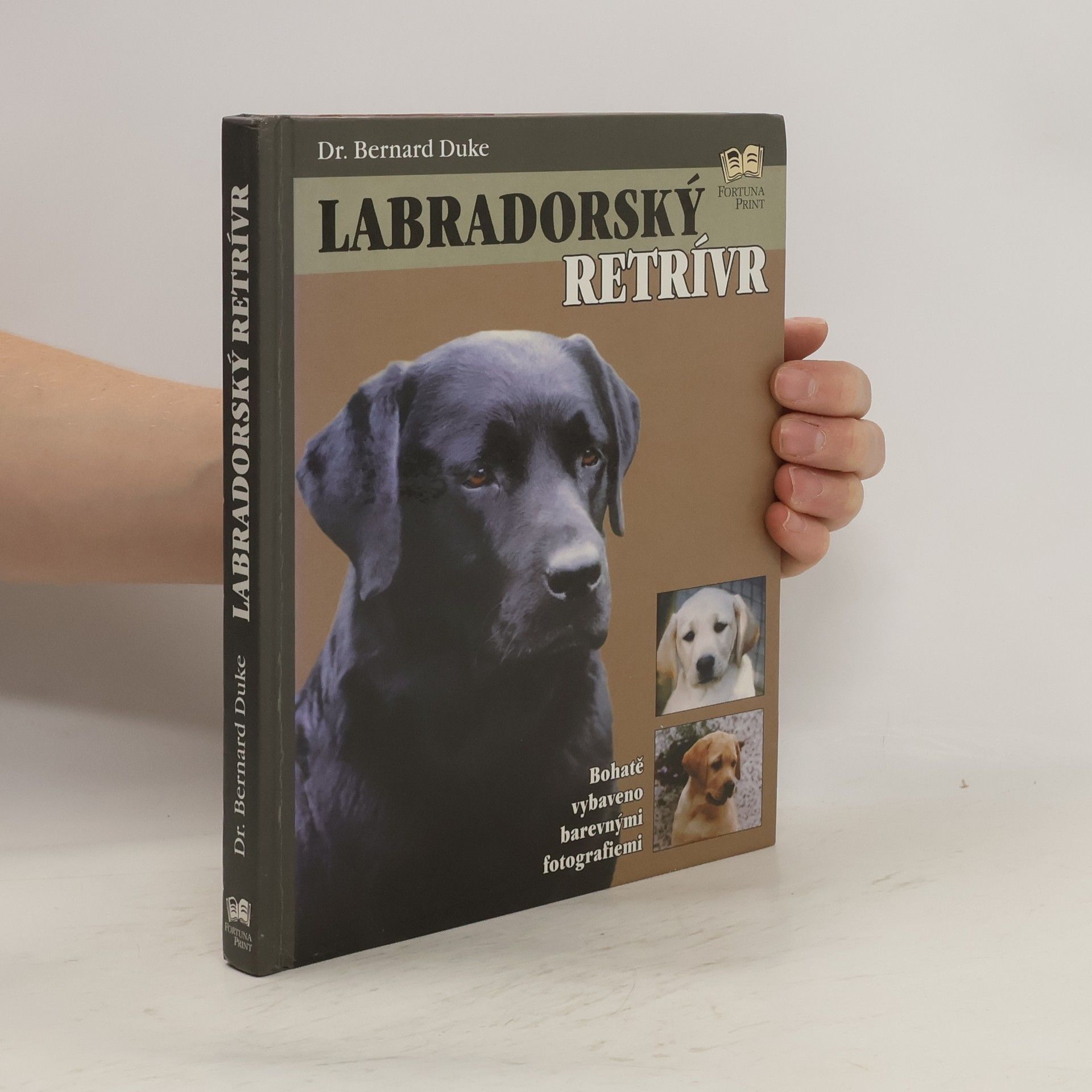 Bernard Duke Labradorský retrívr