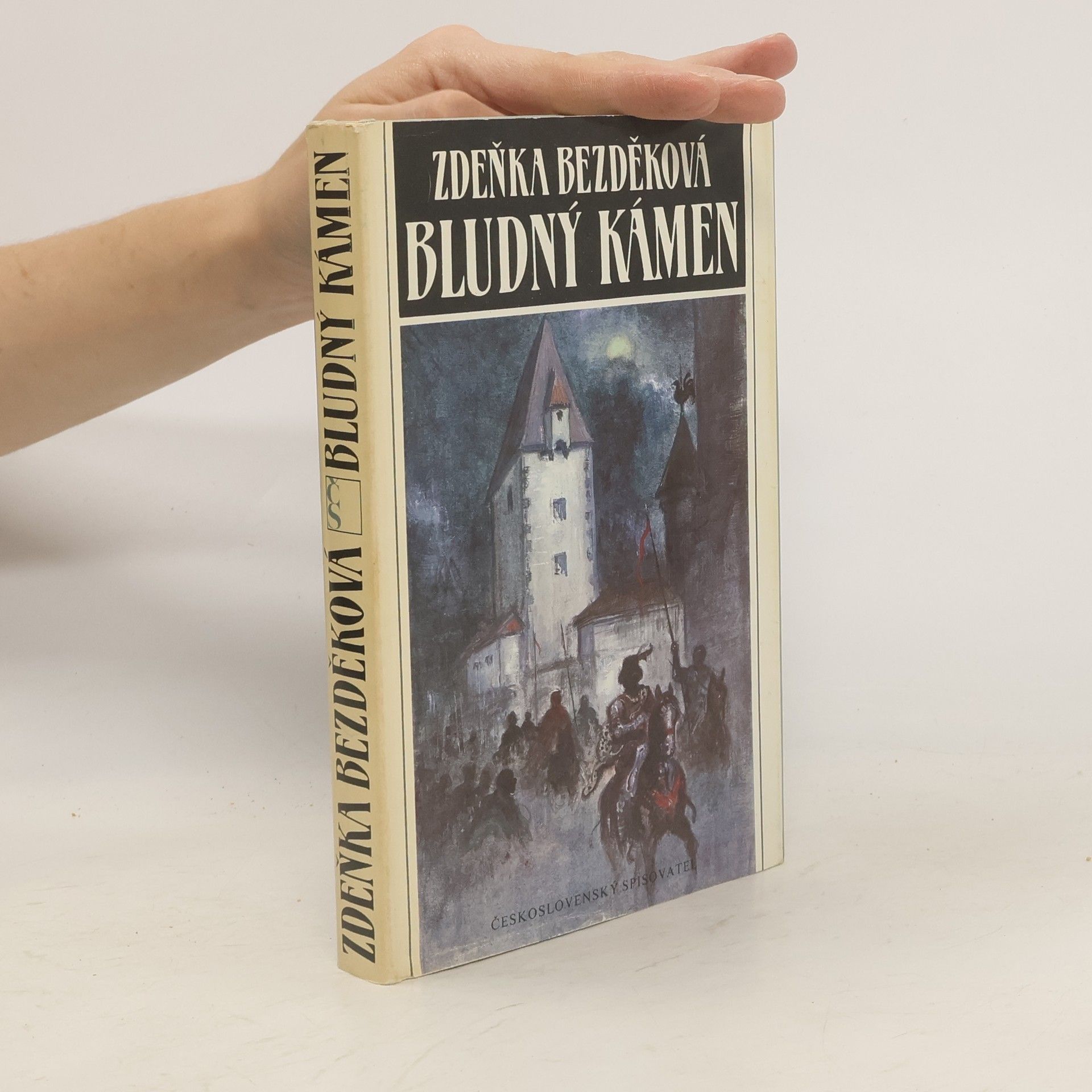 Zdeňka Bezděková Bludný kámen