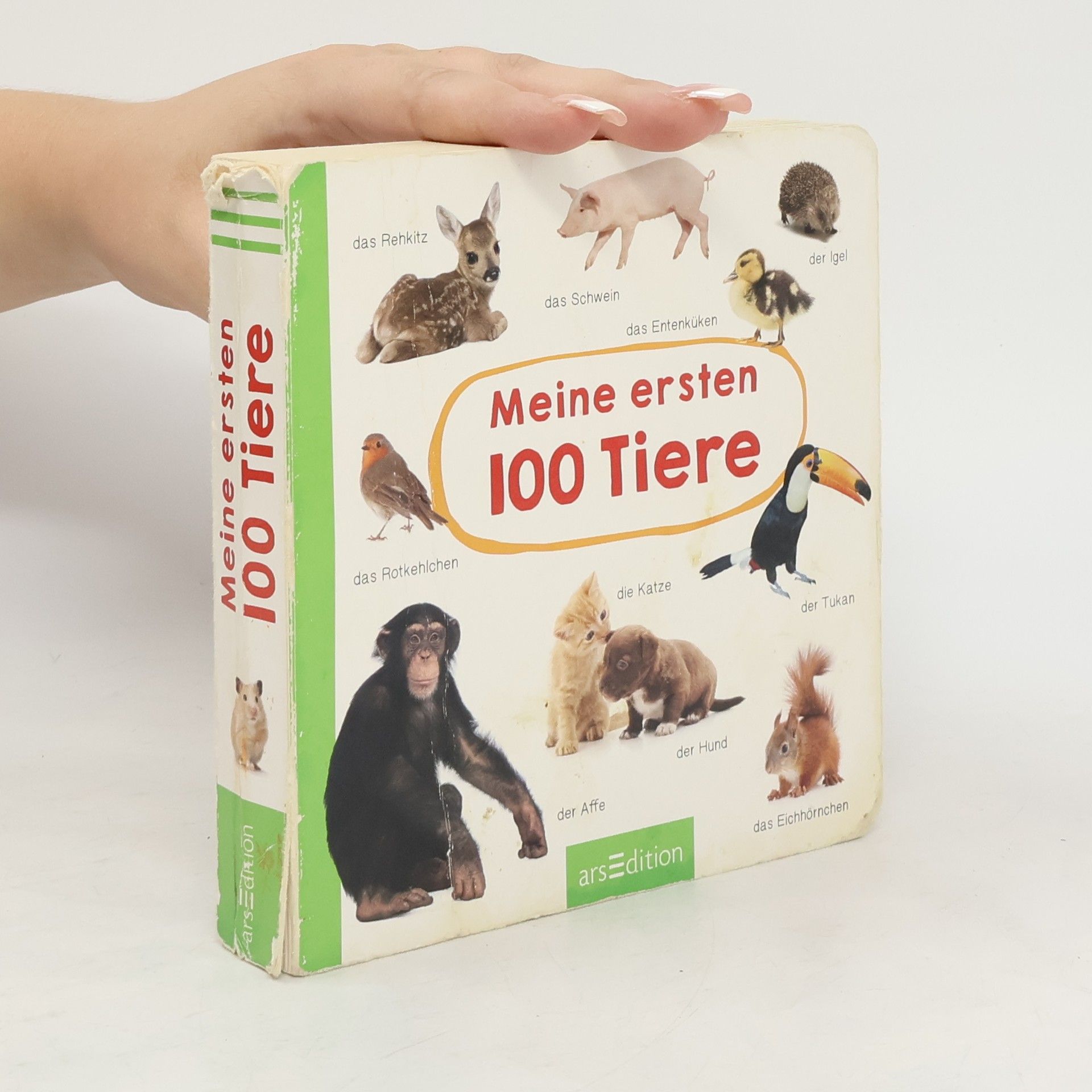 AA.VV. Meine ersten 100 Tiere