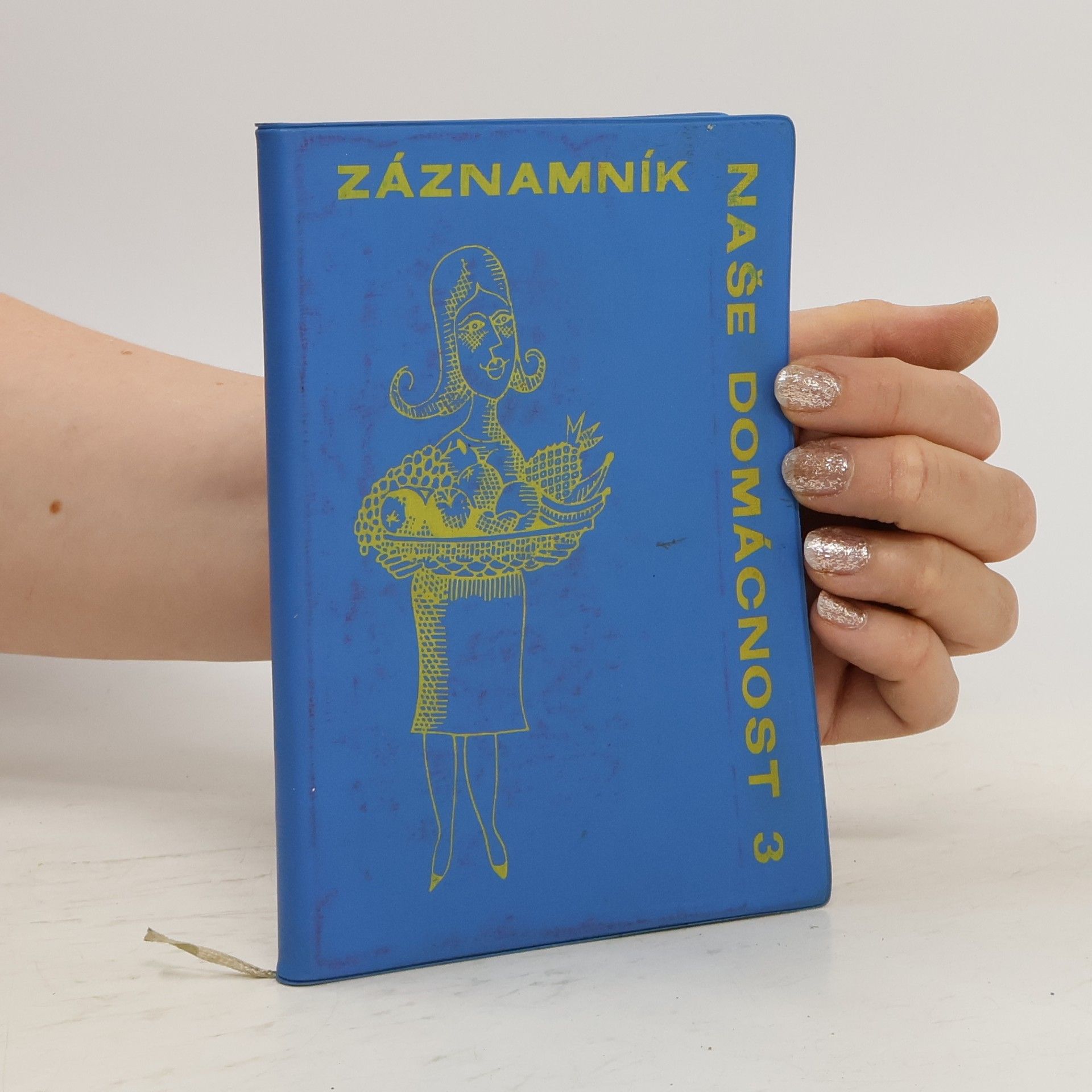 Auteurscollectief Záznamník naše domácnost 3