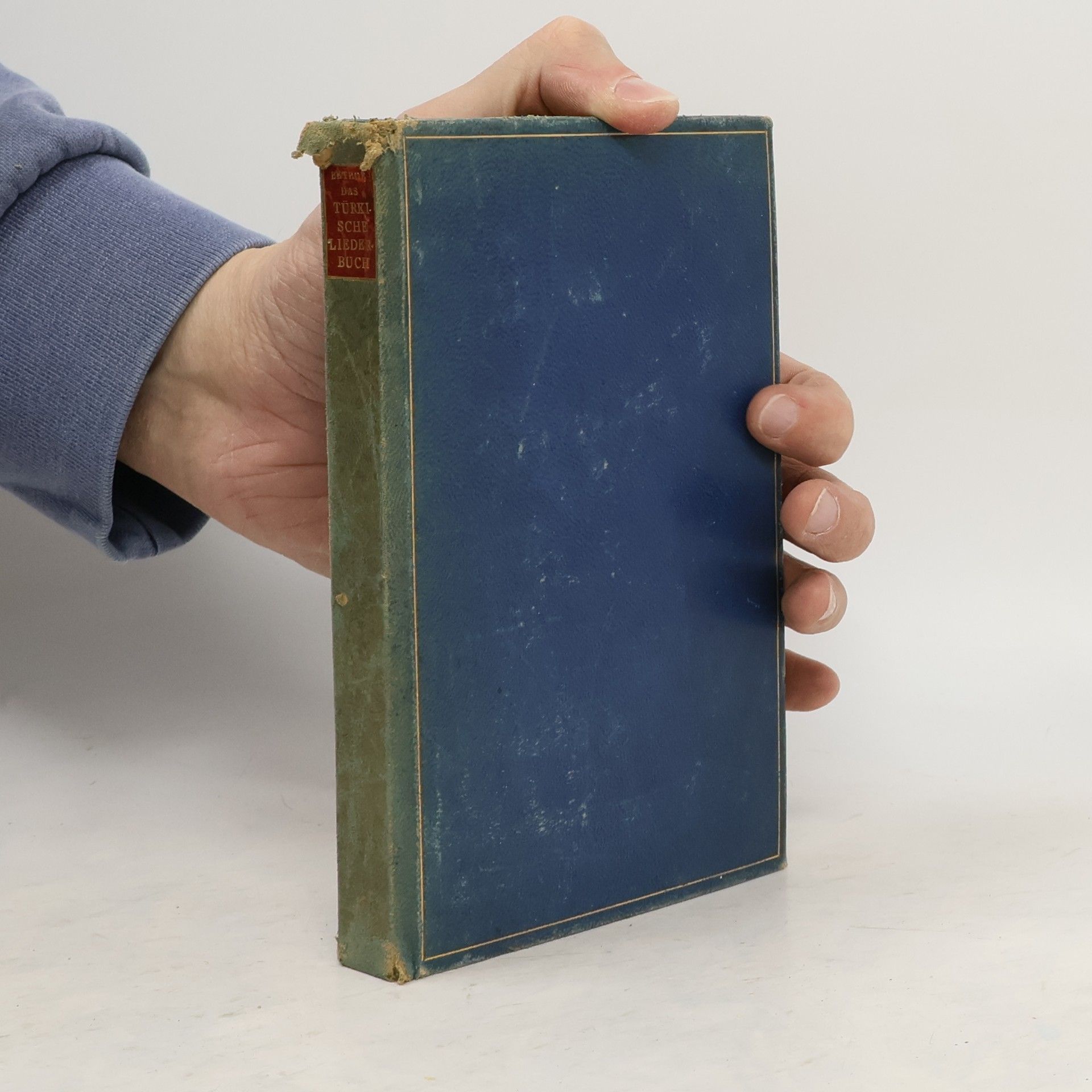 Hans Bethge Das Türkische Liederbuch
