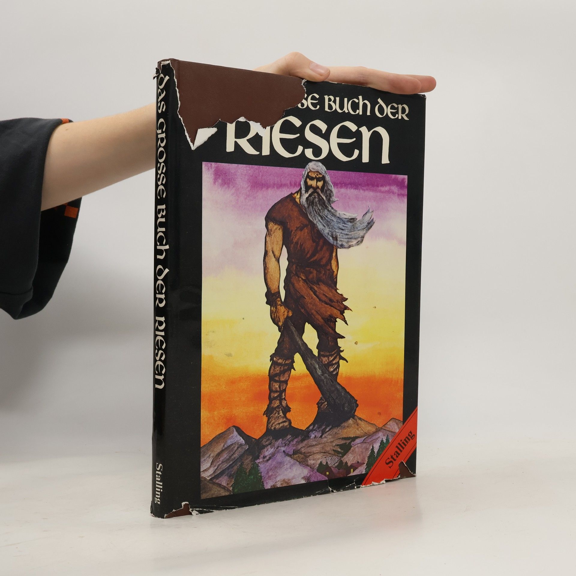 Julek Heller Das grosse Buch der Riesen