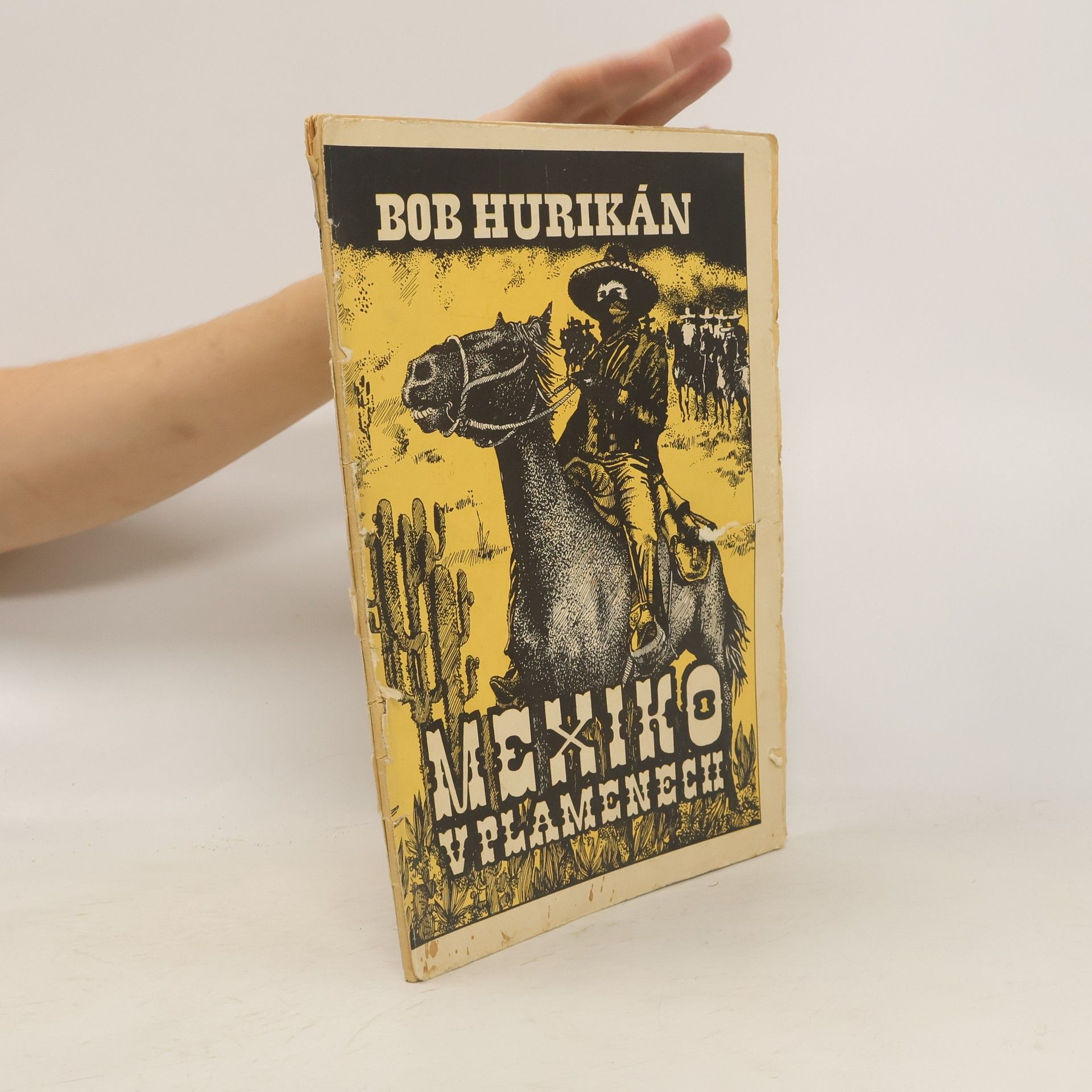 Bob Hurikán Mexiko v plamenech