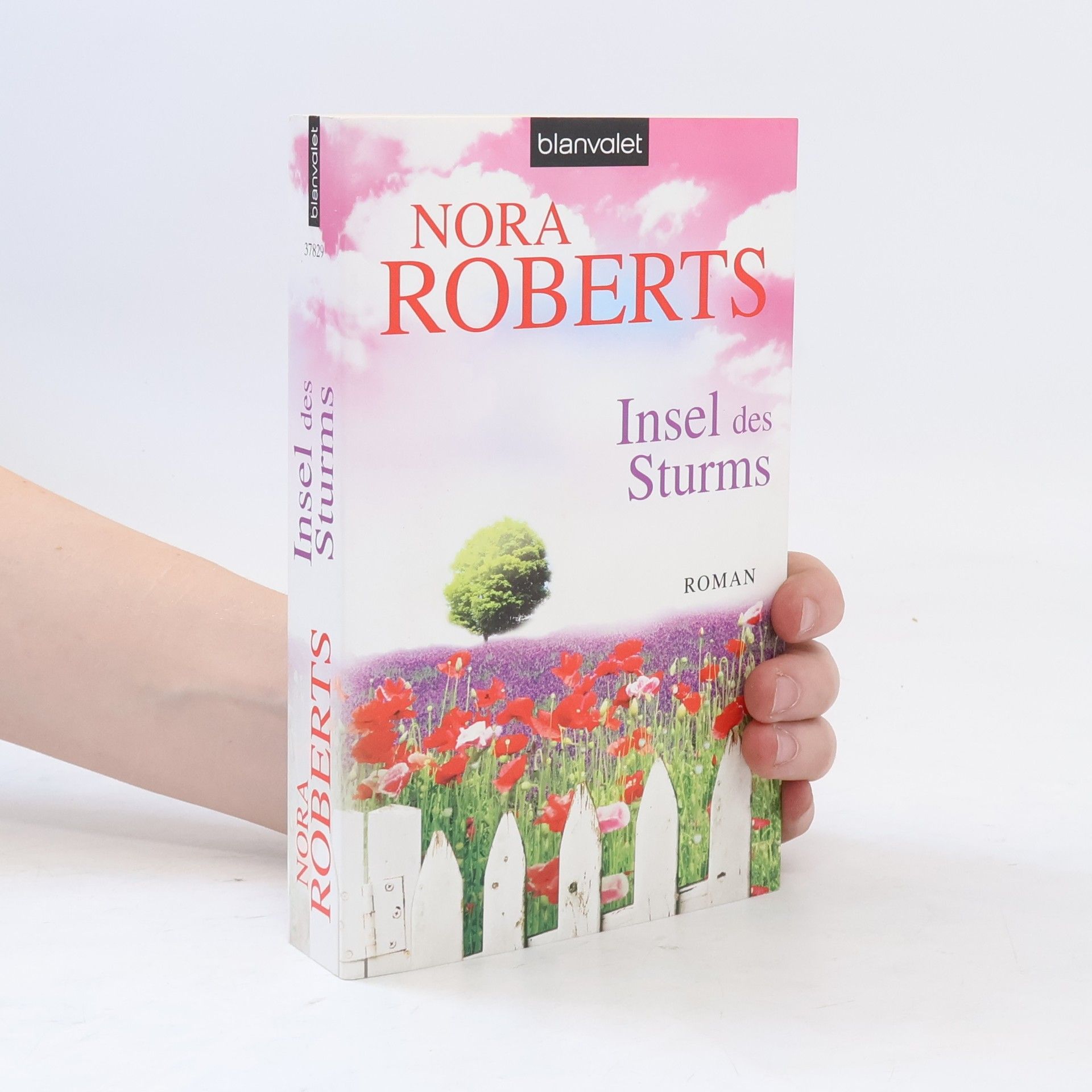 Nora Roberts Insel des Sturms