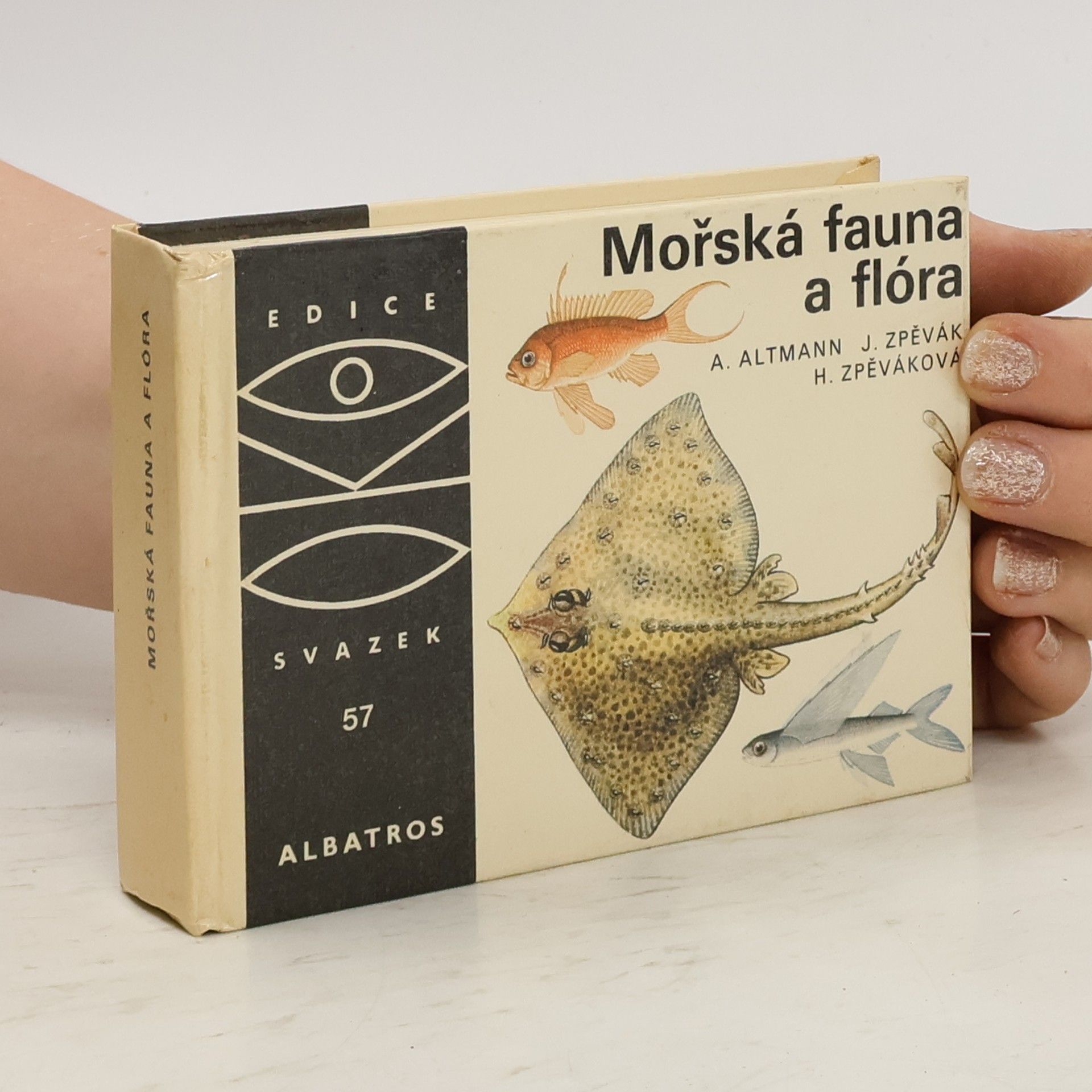 Antonín Altmann Mořská fauna a flóra