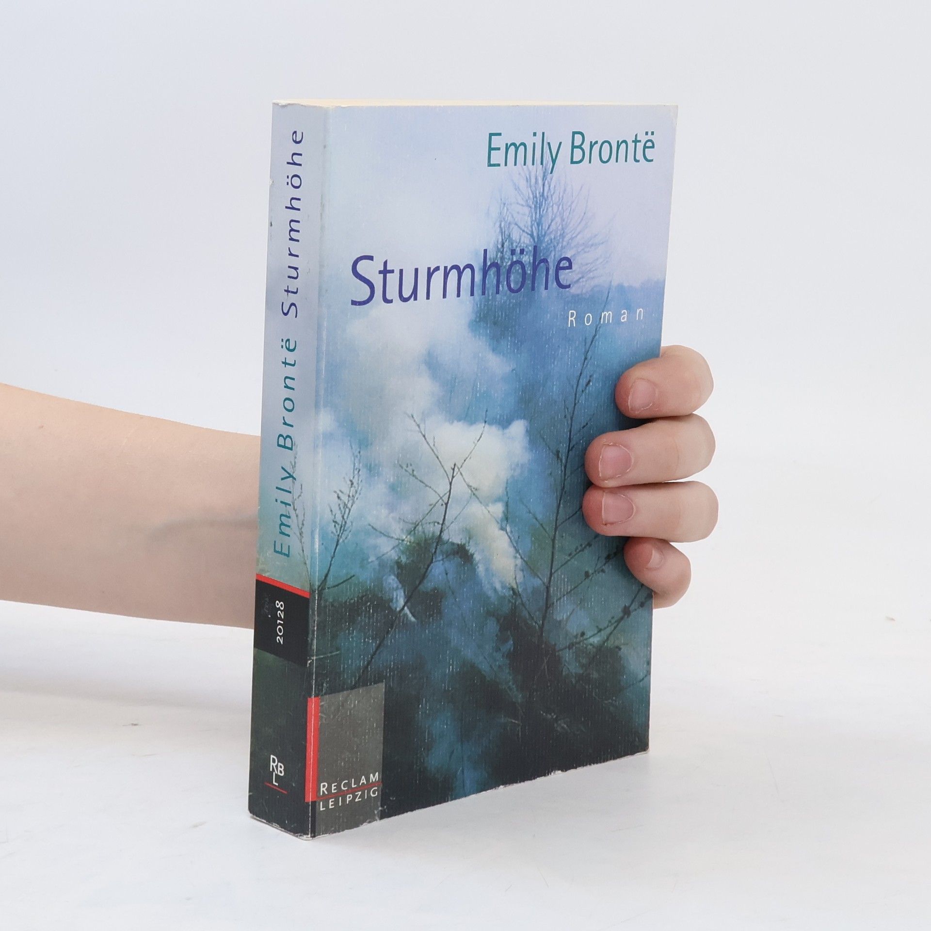 Emily Brontë Sturmhöhe