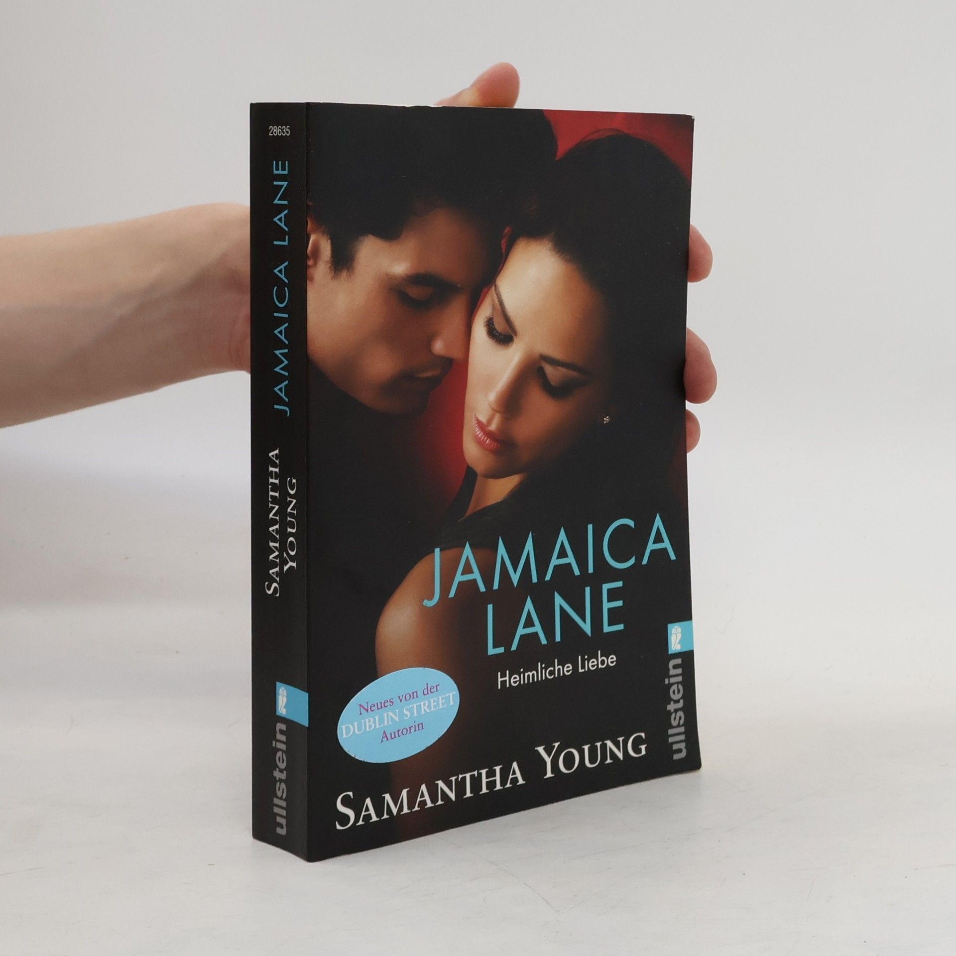 Samantha Young Jamaica Lane: Heimliche Liebe