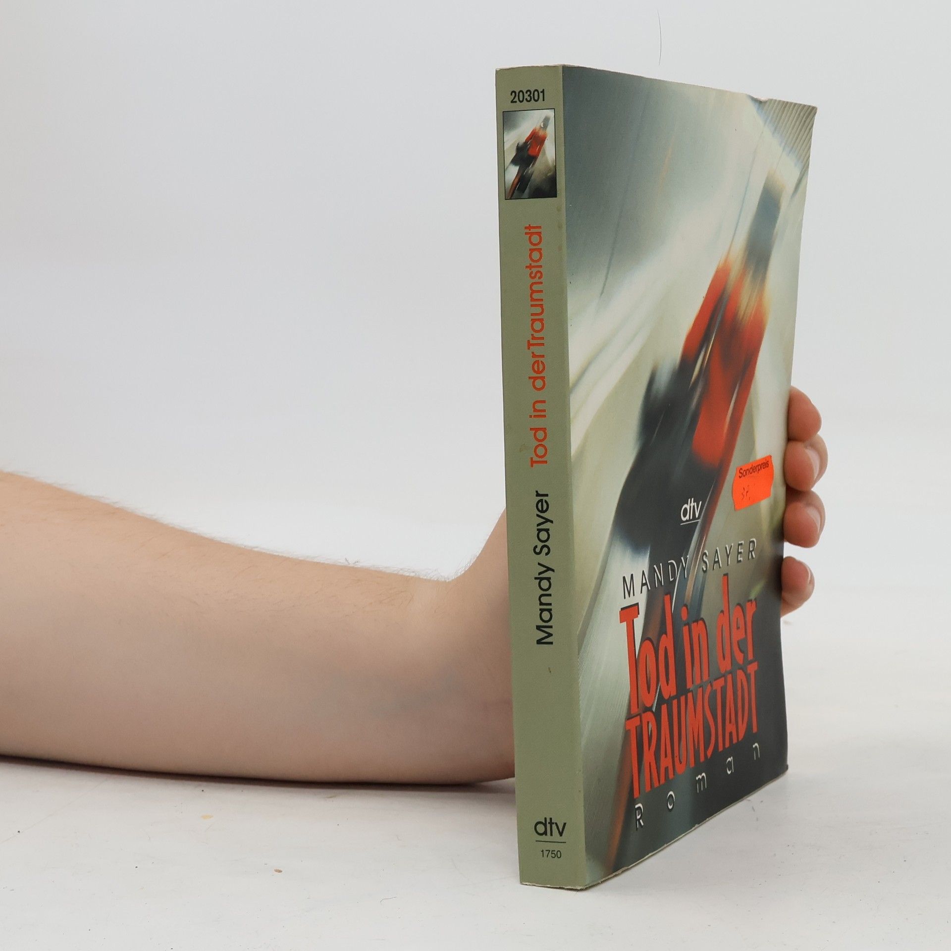 Mandy Sayer Tod in der Traumstadt