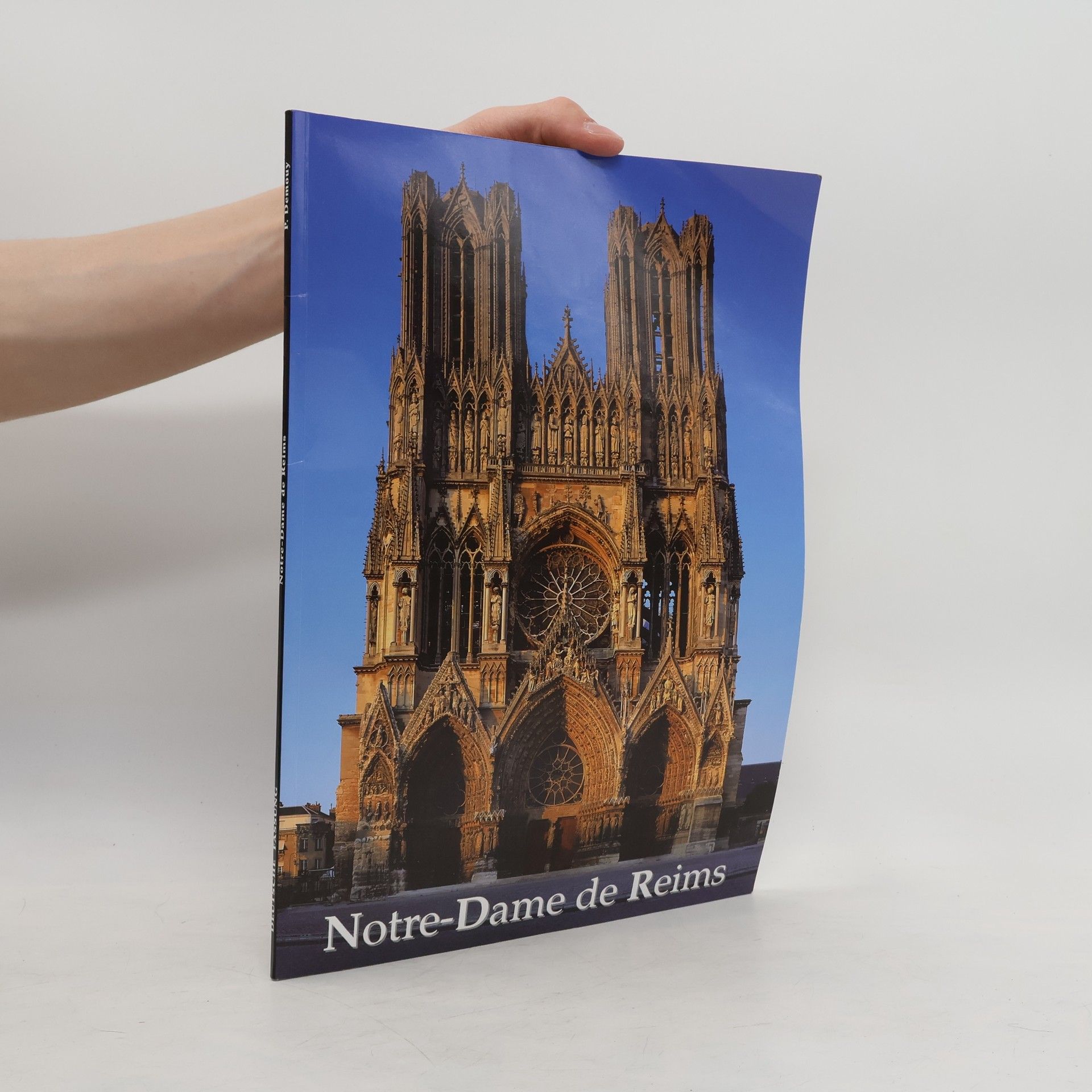 Autorenkollektiv Notre-Dame de Reims