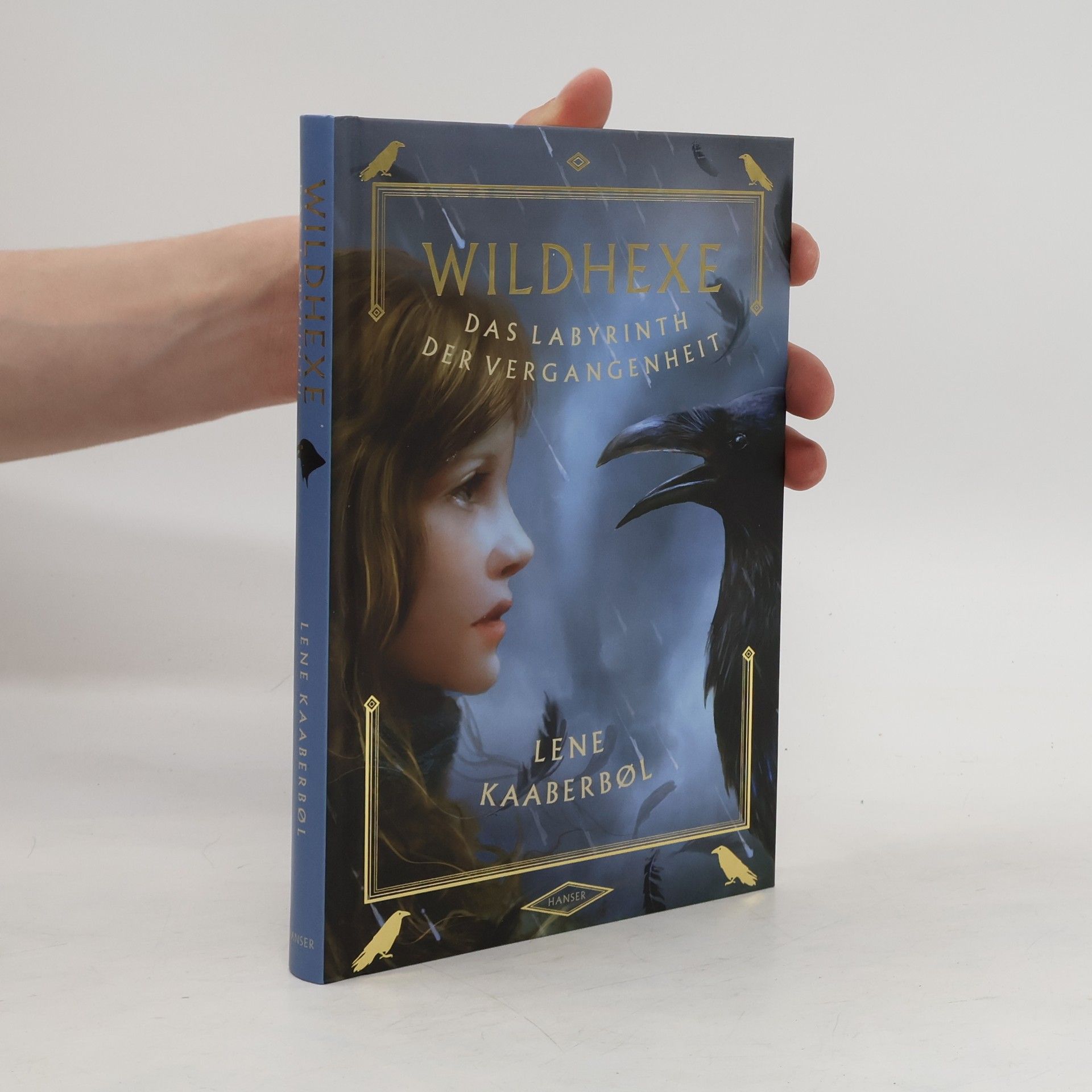 Lene Kaaberbøl Wildhexe. Das Labyrinth der Vergangenheit