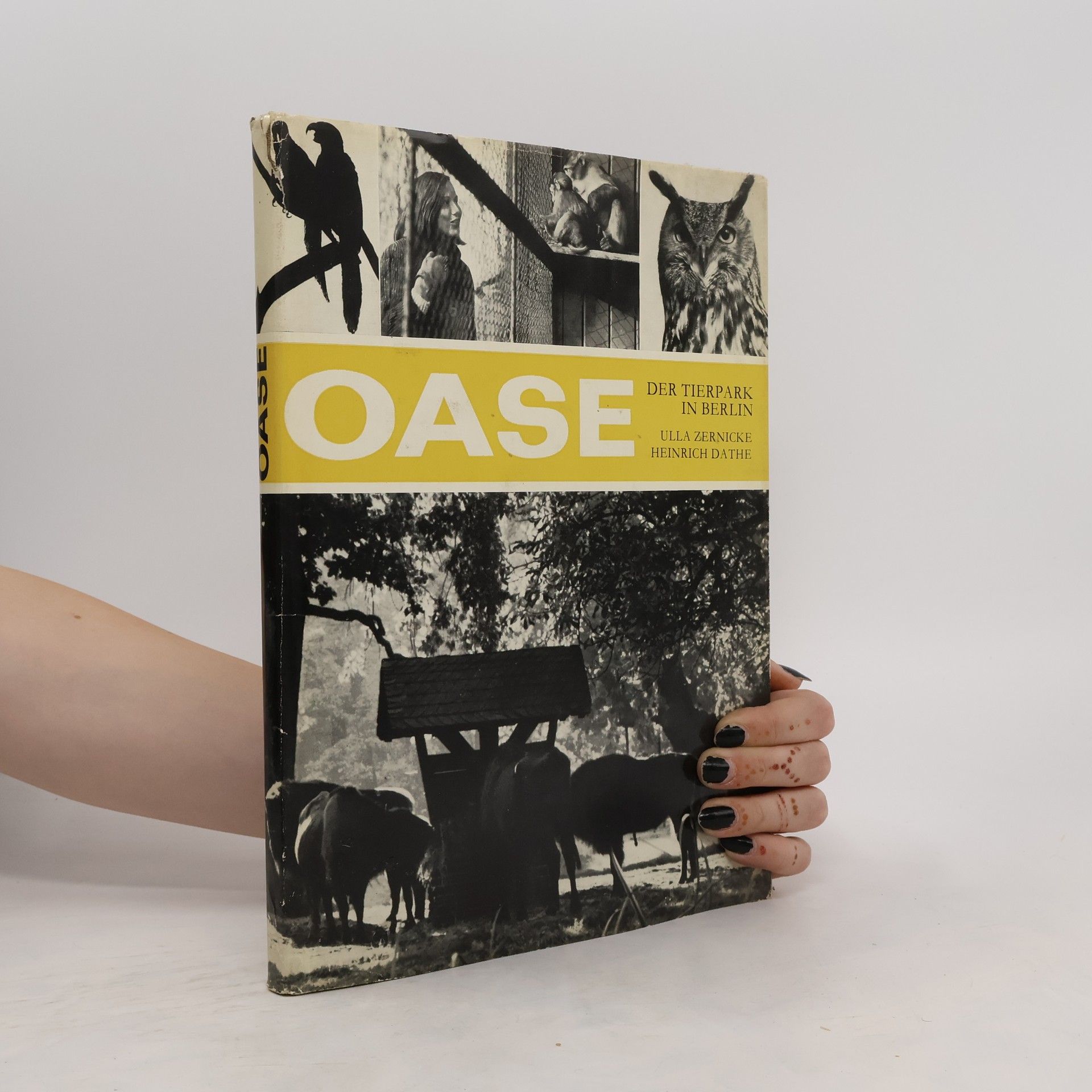 Ulla Zernicke Oase