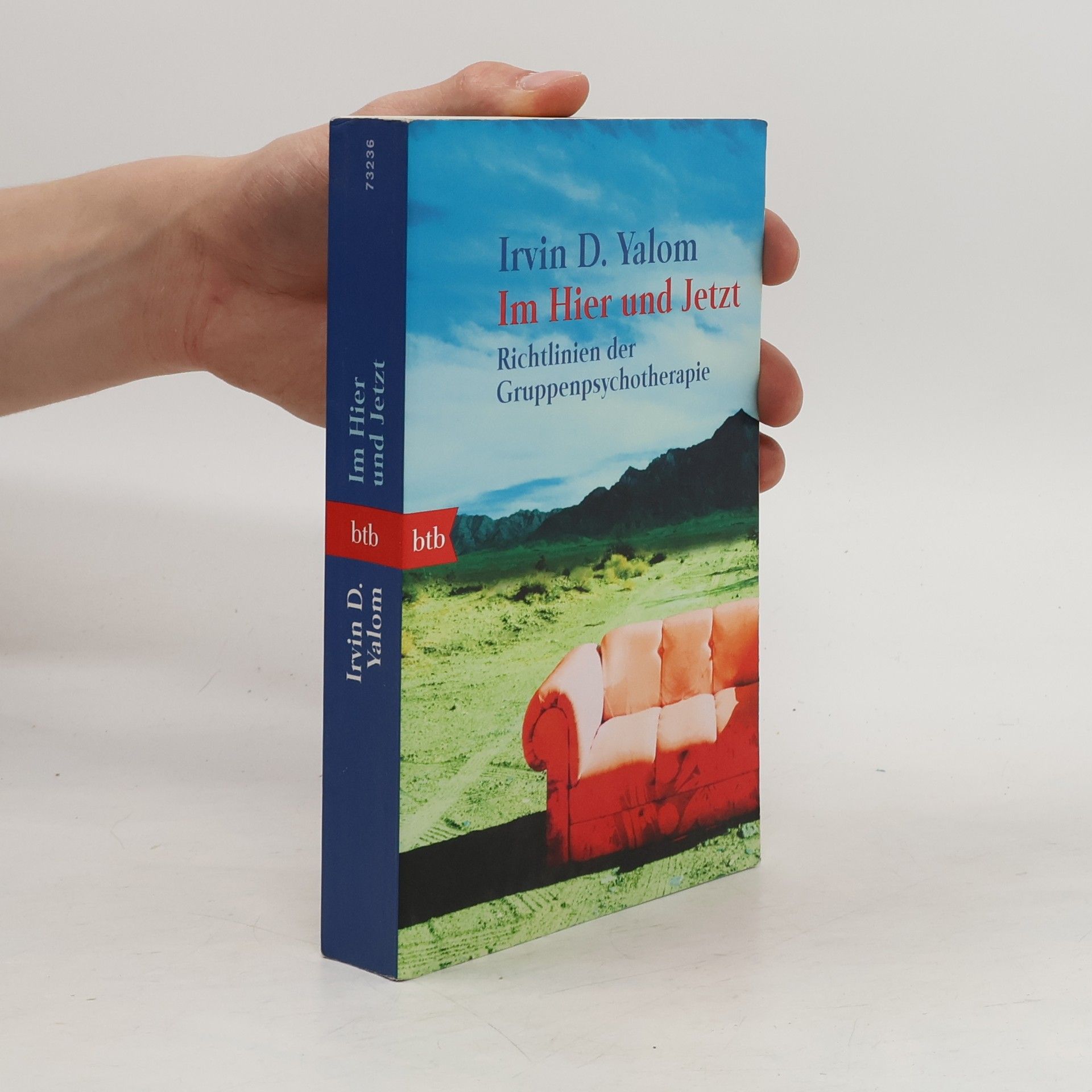 Irvin Yalom Im Hier und Jetzt