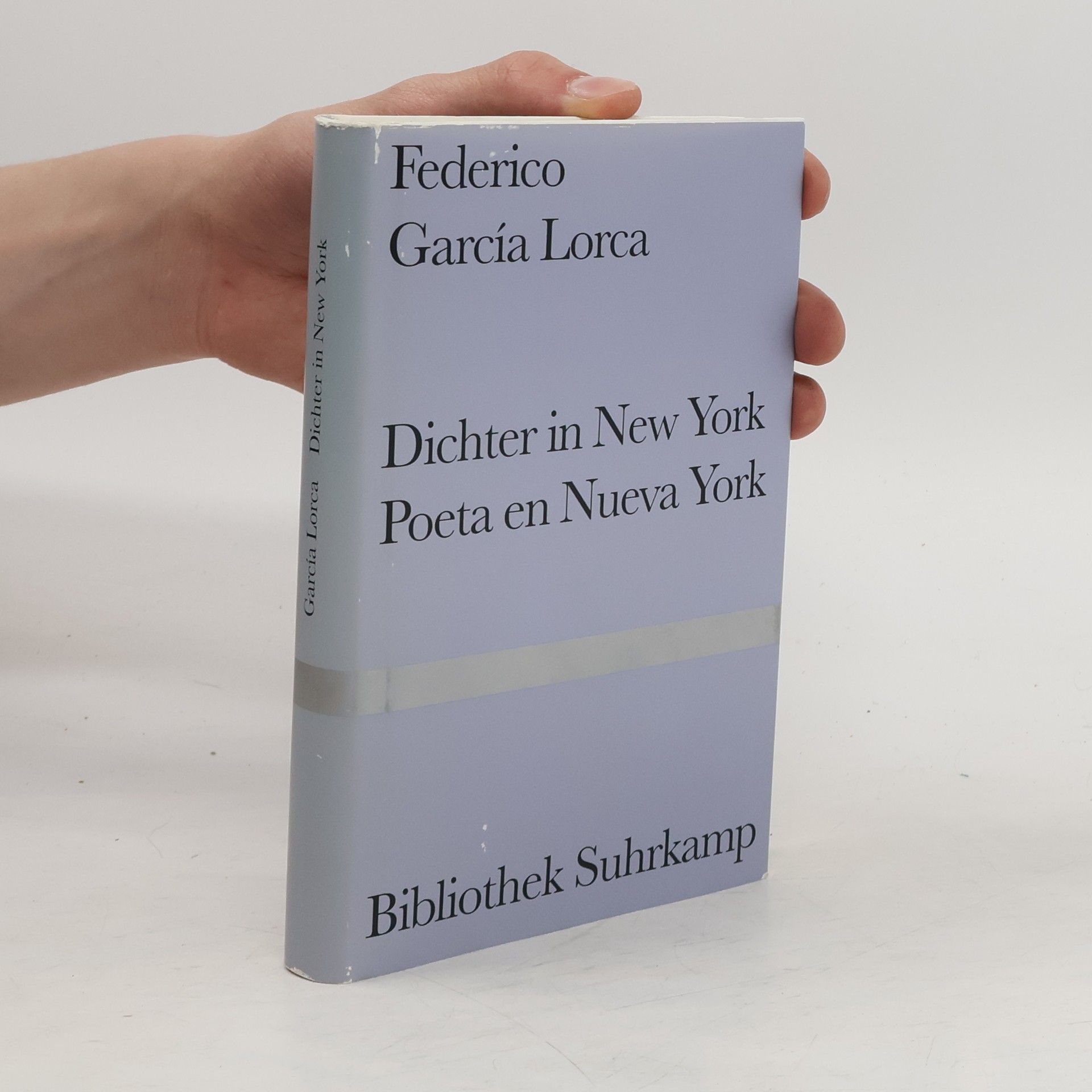 Federico García Lorca Dichter in New York. Poeta en Nueva York