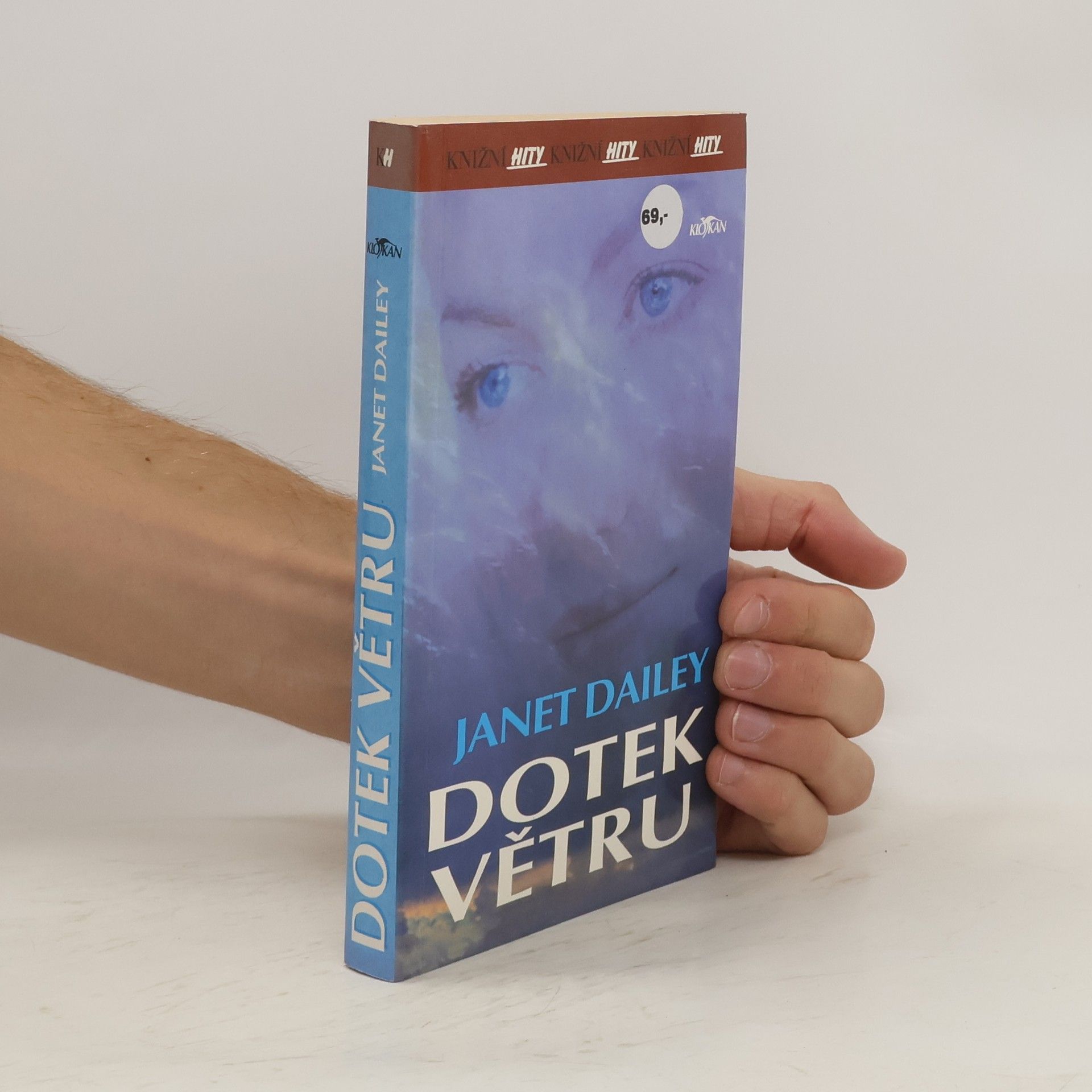 Janet Dailey Dotek větru