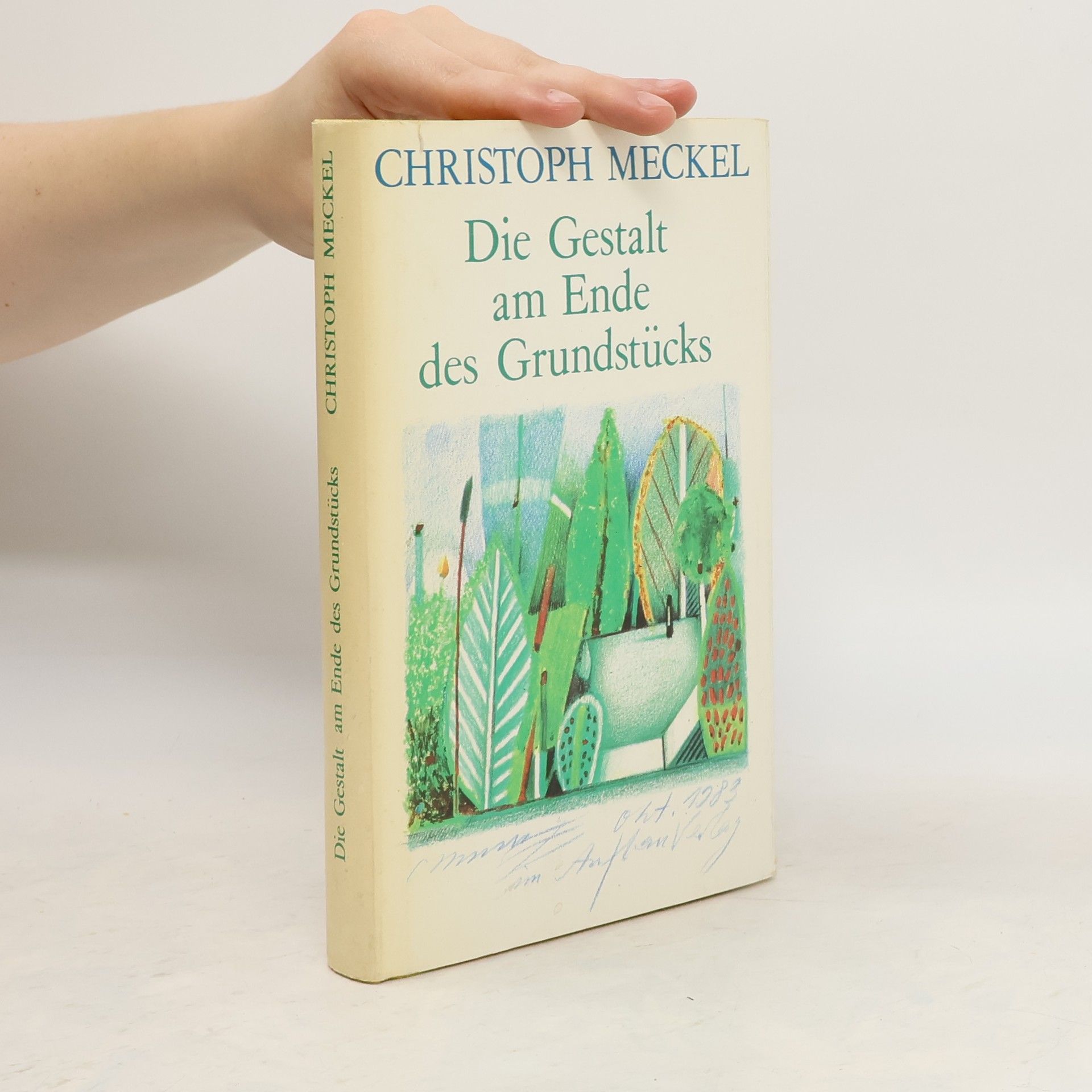 Christoph Meckel Die Gestalt am Ende des Grundstücks