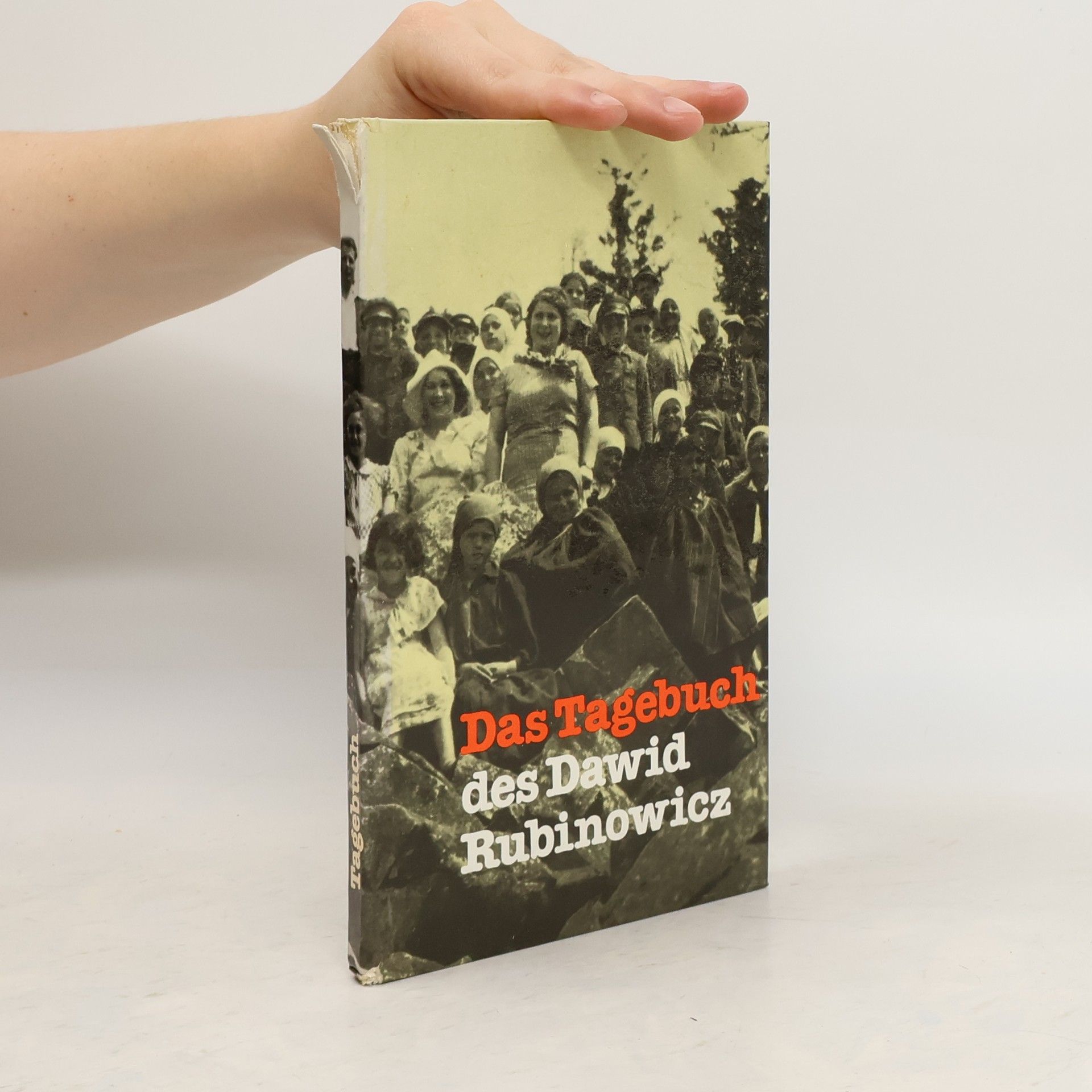 Dawid Rubinowicz Das Tagebuch des Dawid Rubinowicz