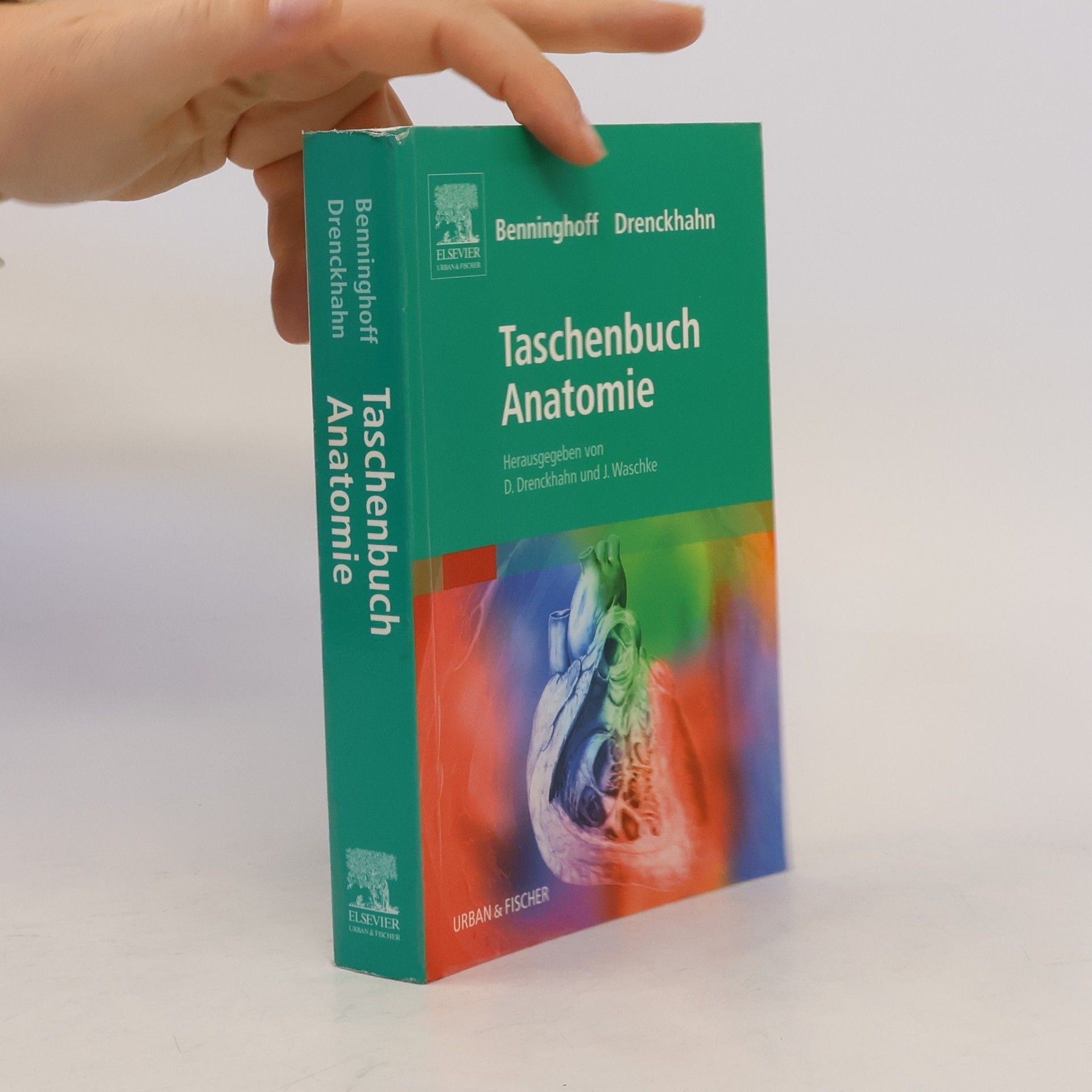 Alfred Benninghoff Taschenbuch Anatomie