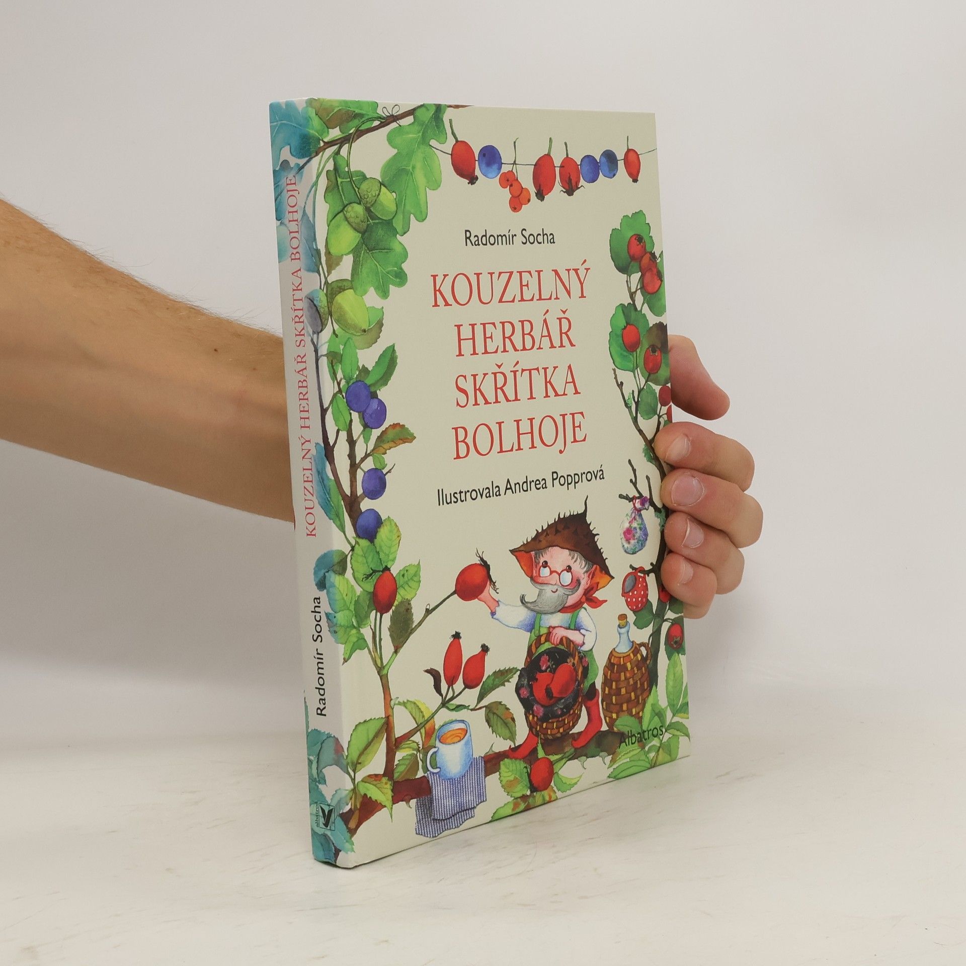 Radomír Socha Kouzelný herbář skřítka Bolhoje
