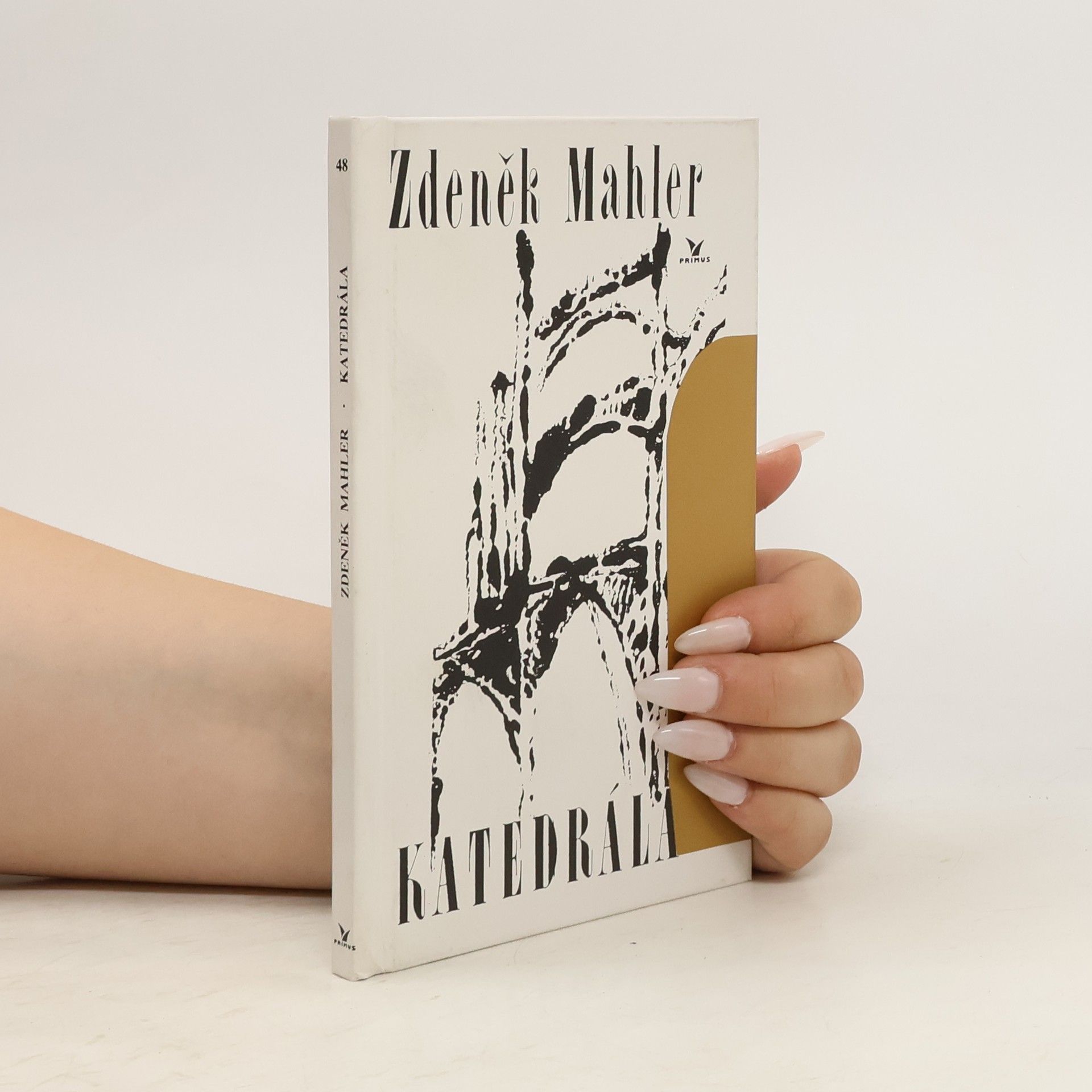 Zdeněk Mahler Katedrála