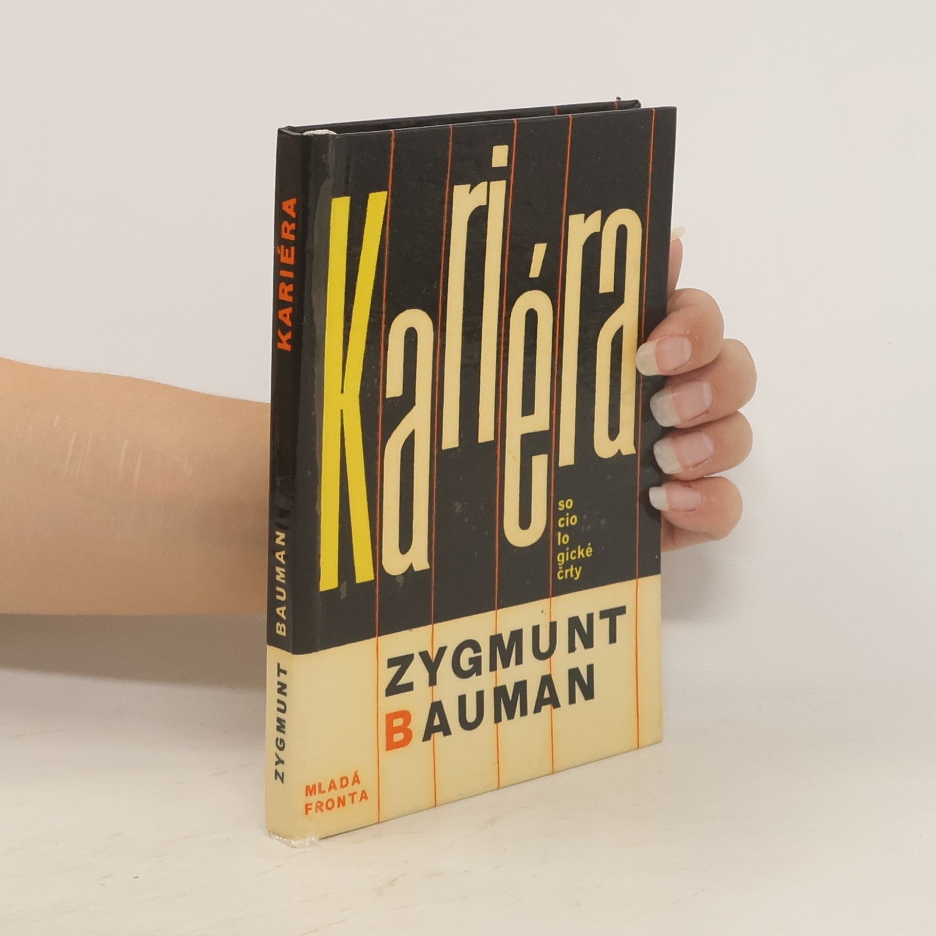 Zygmunt Bauman Kariéra