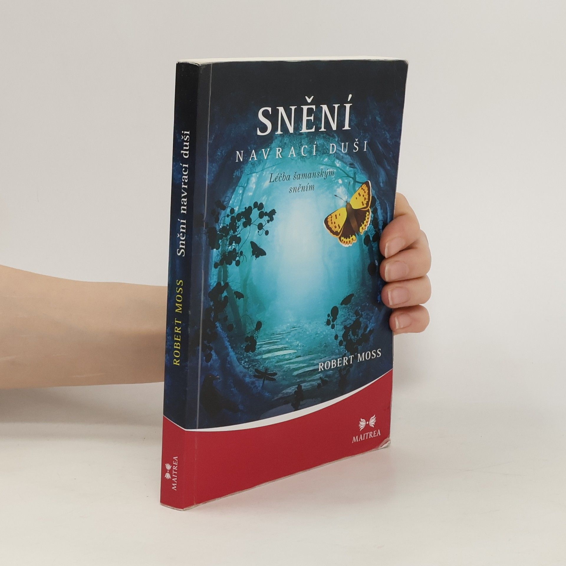 Robert Moss Snění navrací duši. Léčba šamanským sněním