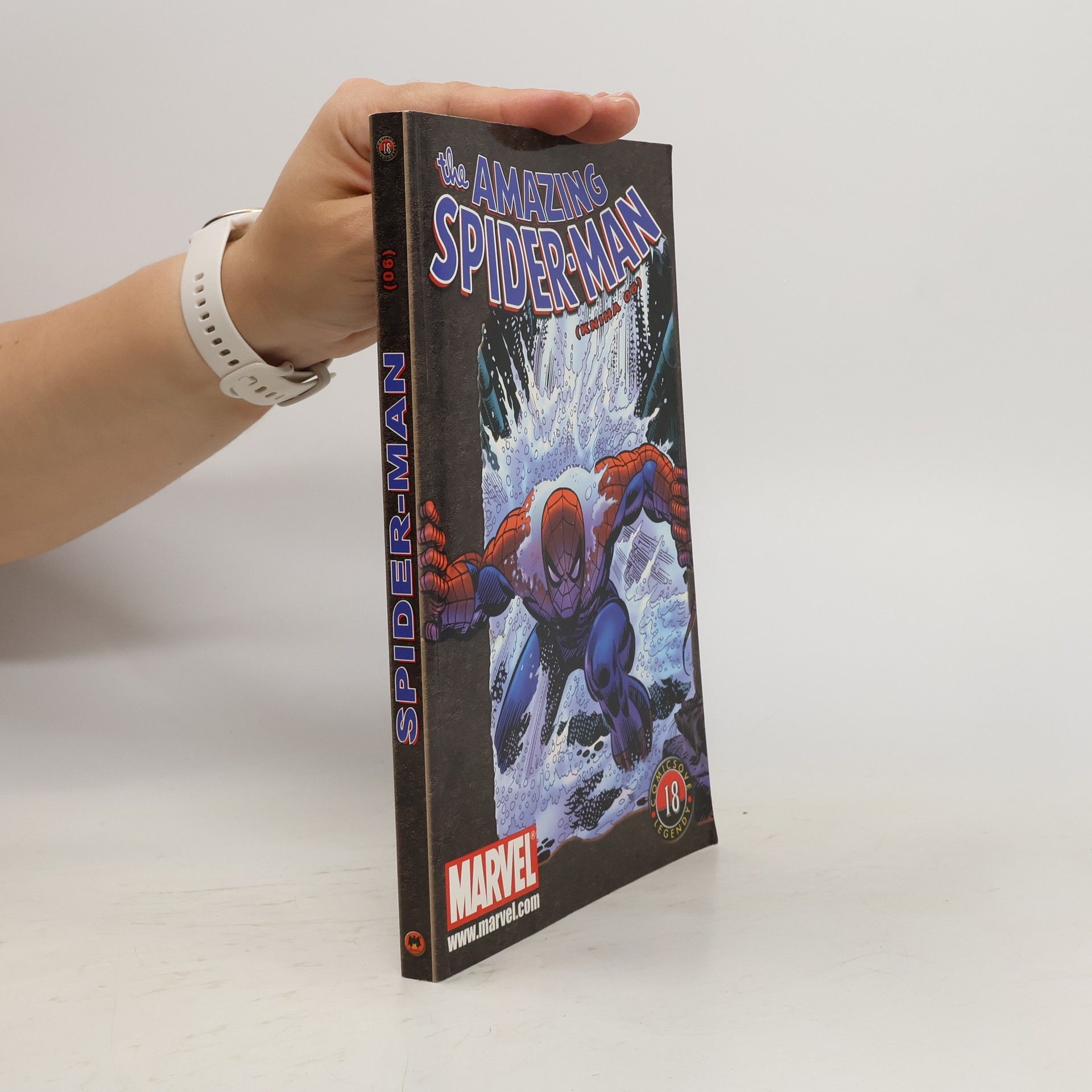 Collective The Amazing Spider-Man: Kniha 06