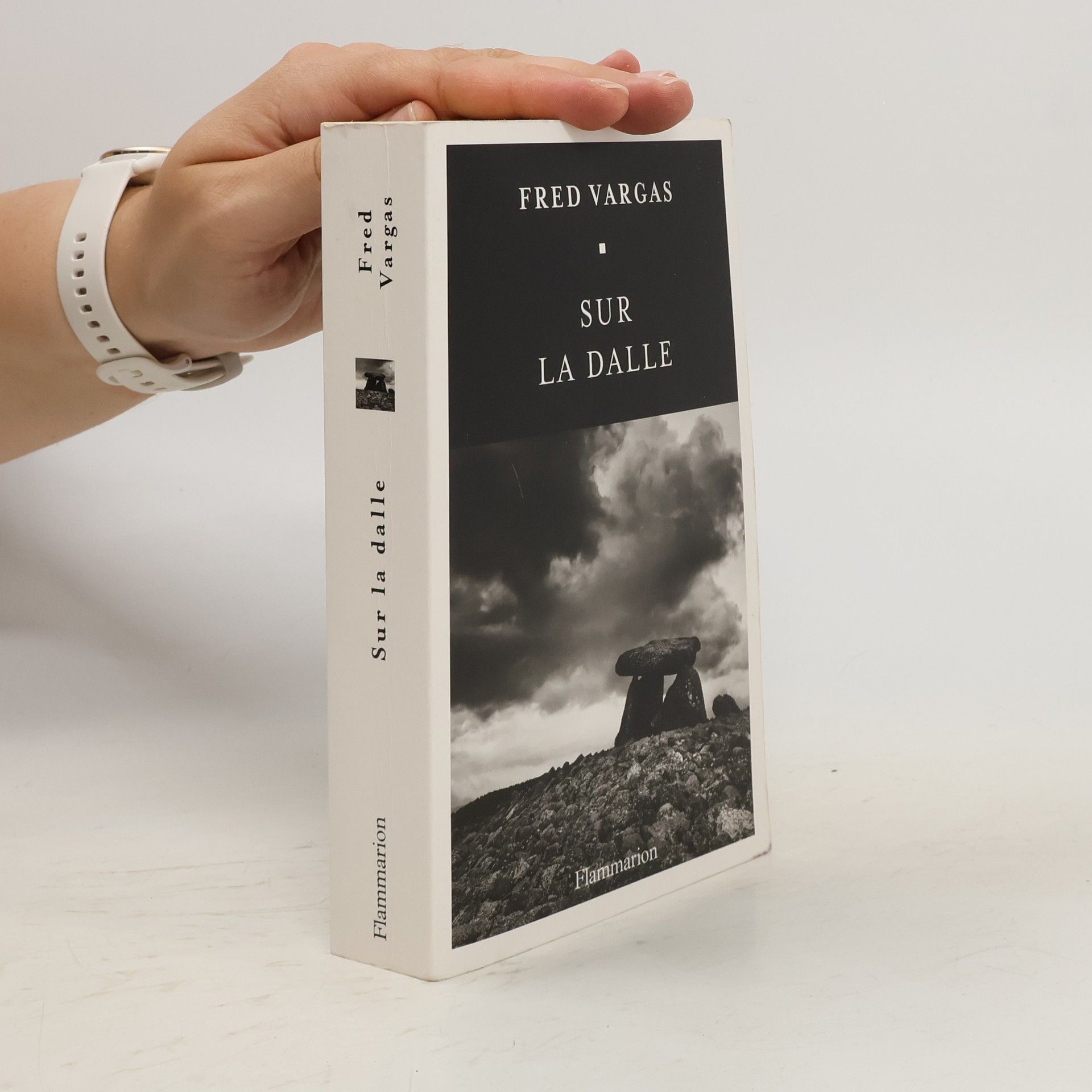 Fred Vargas Sur la dalle