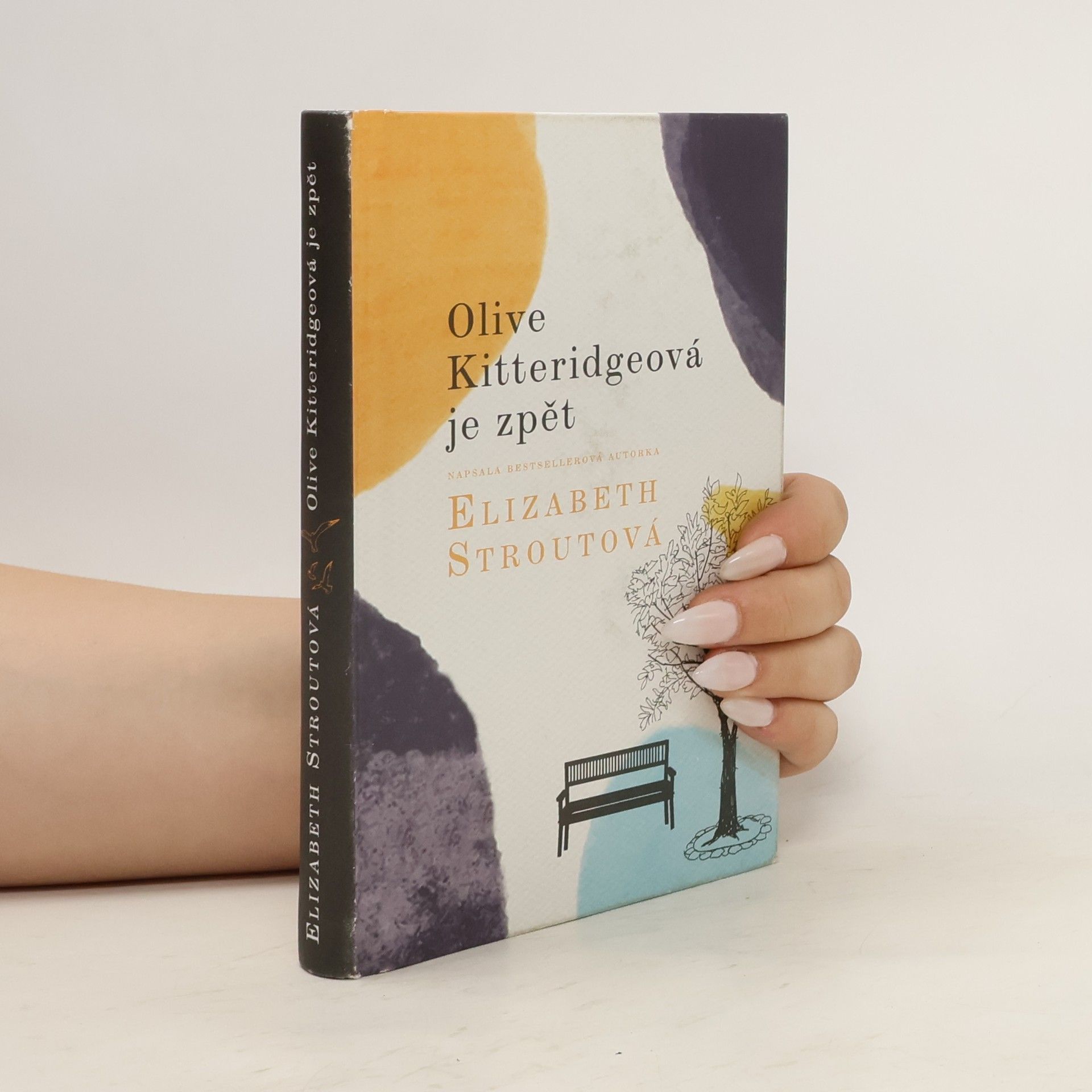 Elizabeth Strout Olive Kitteridgeová je zpět