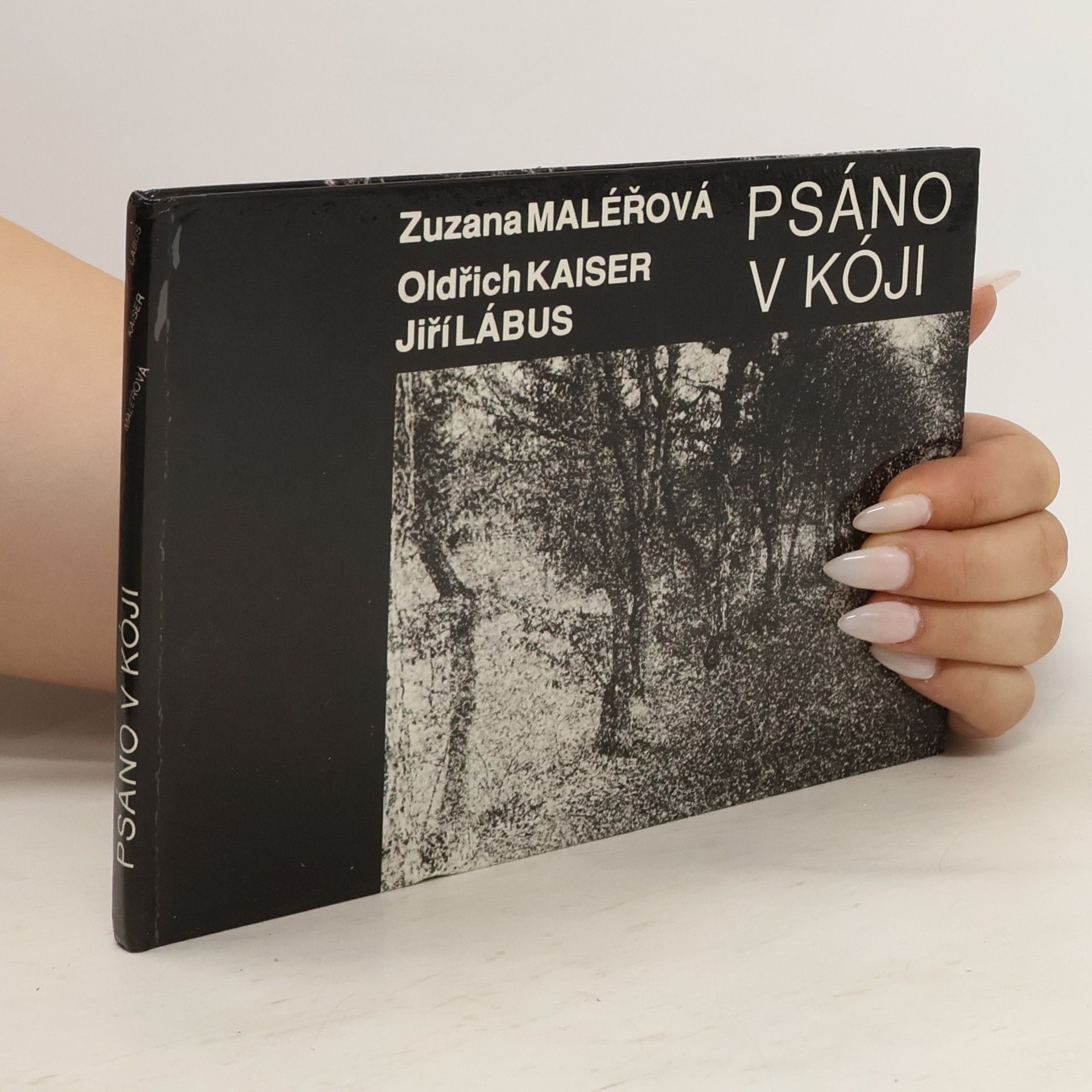 Zuzana Maléřová Psáno v kóji