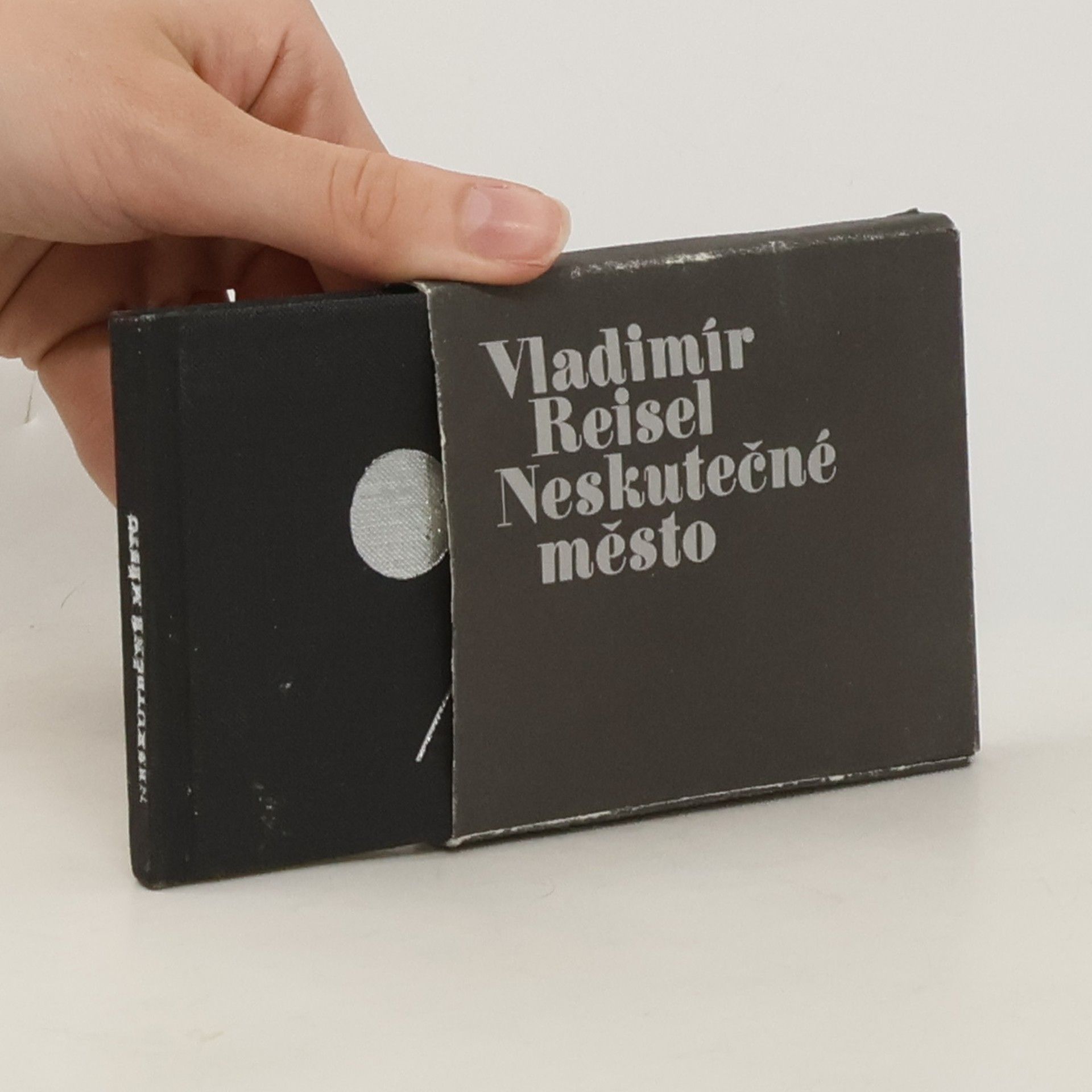 Vladimír Reisel Neskutečné město