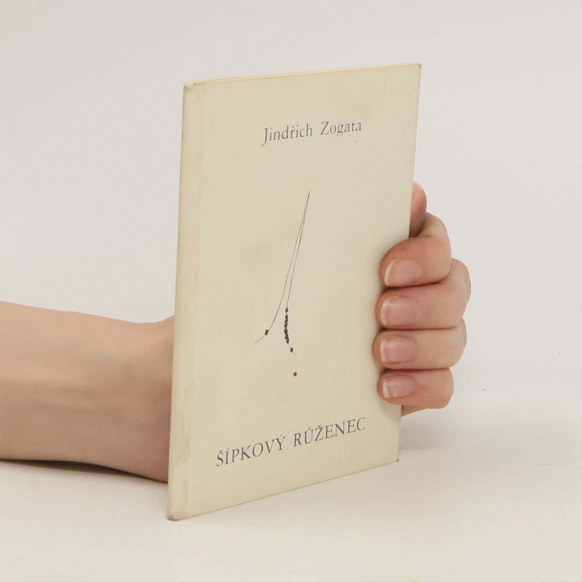 Jindřich Zogata Šípkový růženec