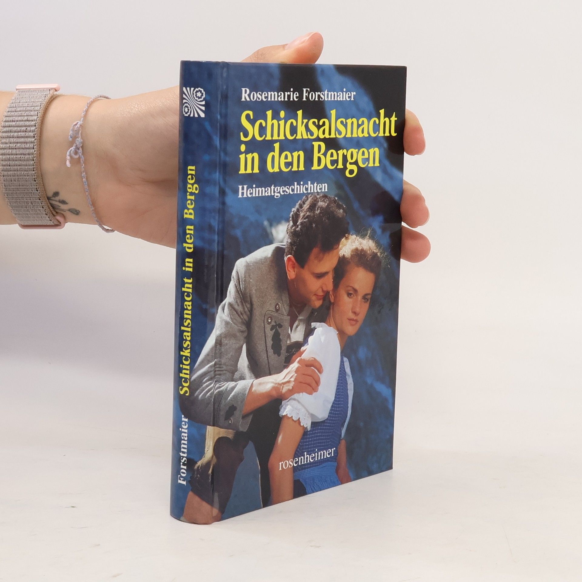Rosemarie Forstmaier Schicksalsnacht in den Bergen