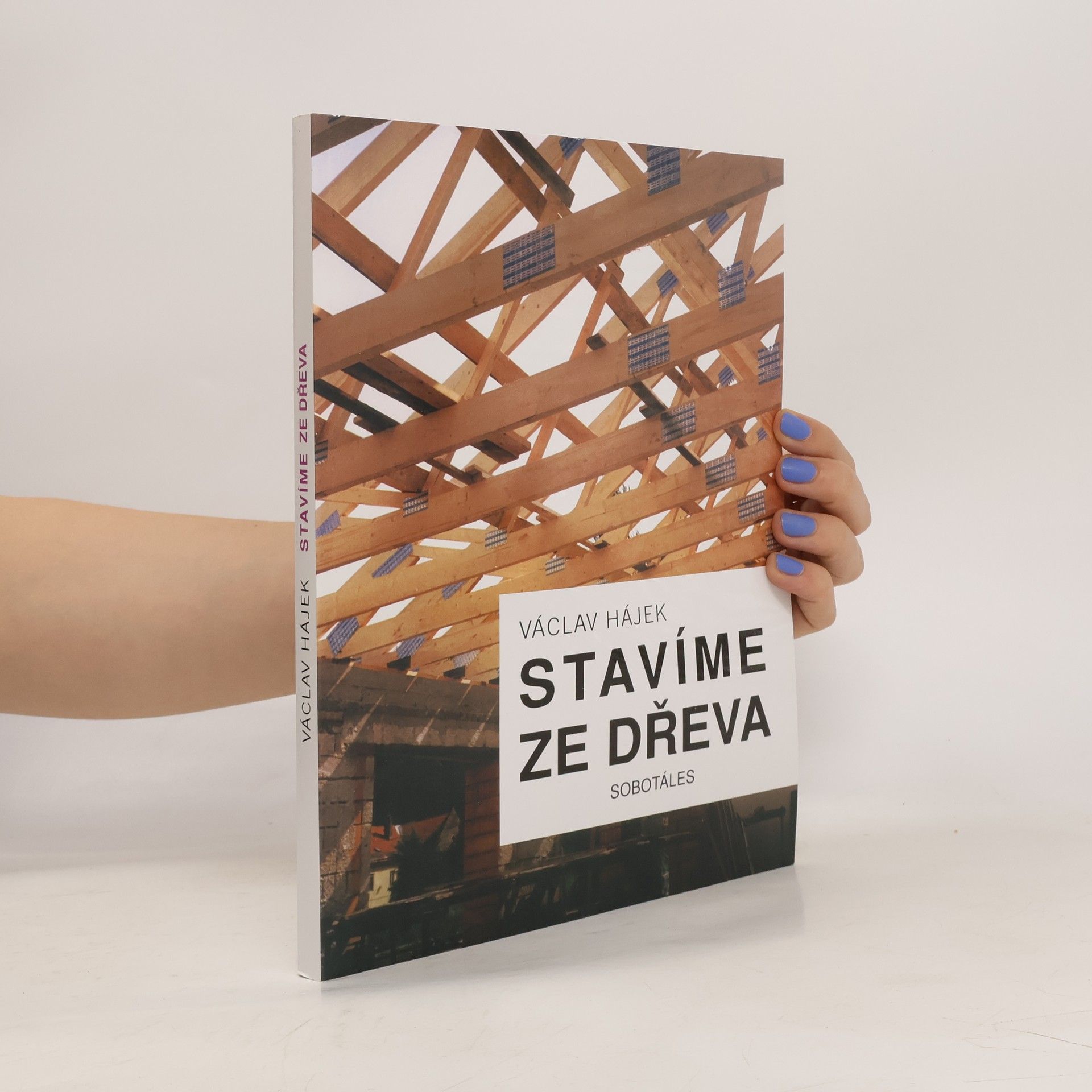 Václav Hájek Stavíme ze dřeva