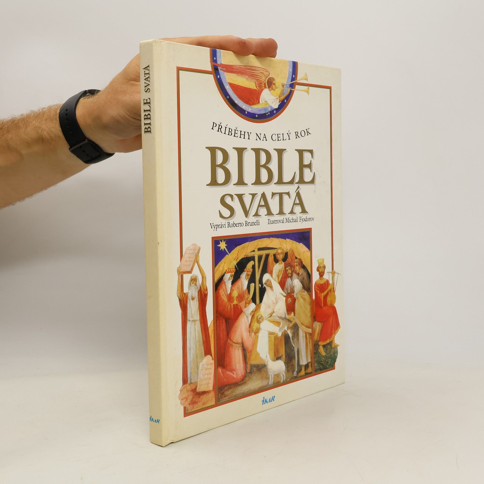 Roberto Brunelli Bible svatá pro děti : příběhy na celý rok