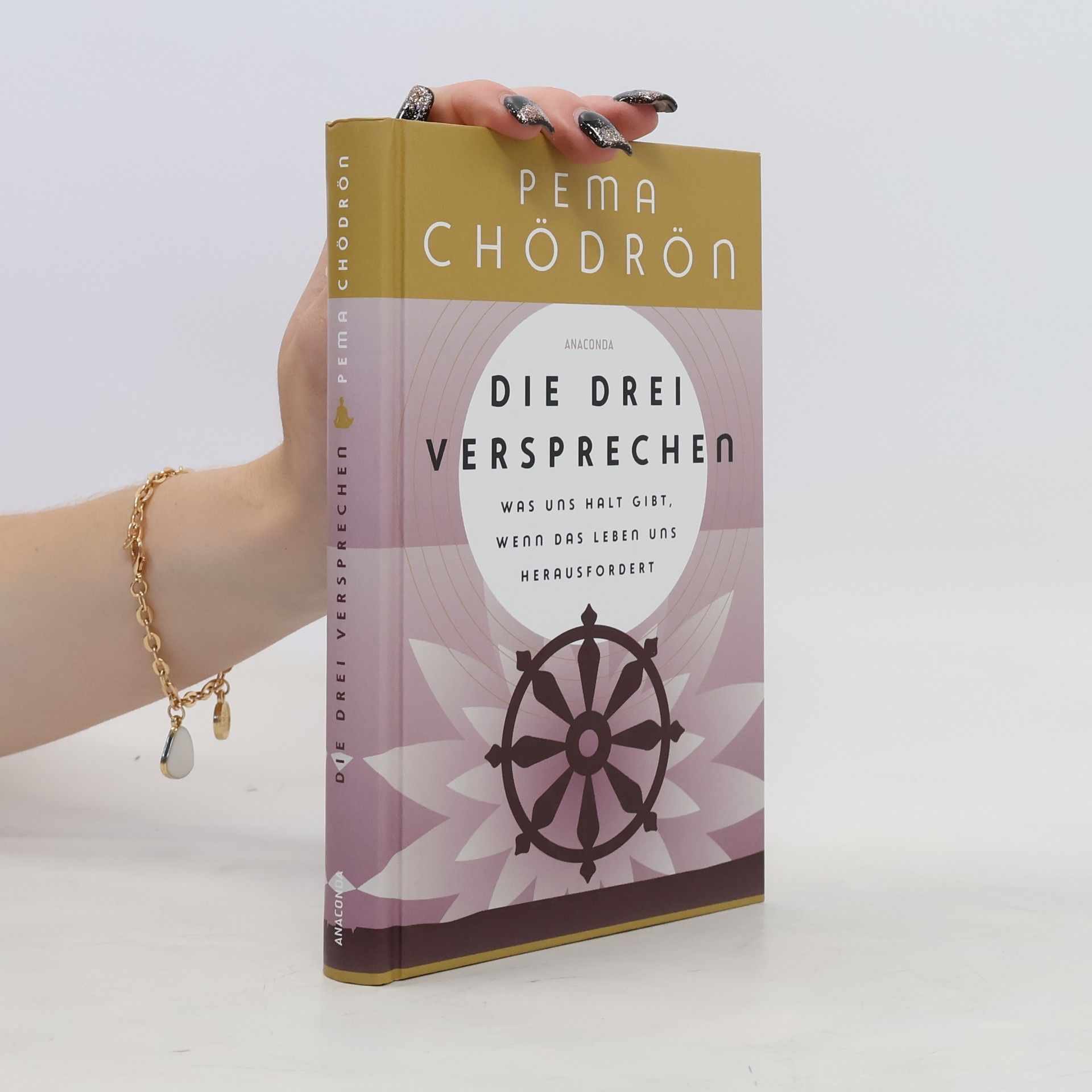 Pema Chödrön Die drei Versprechen. Was uns Halt gibt, wenn das Leben uns herausfordert