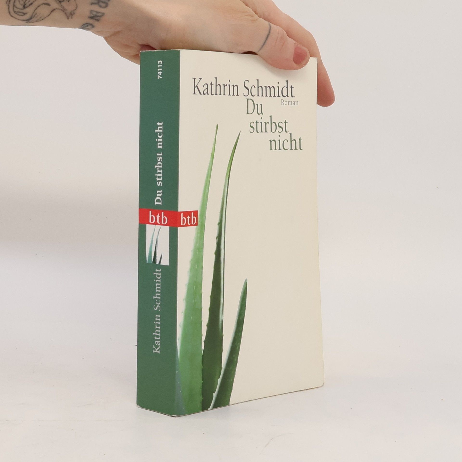 Kathrin Schmidt Du stirbst nicht
