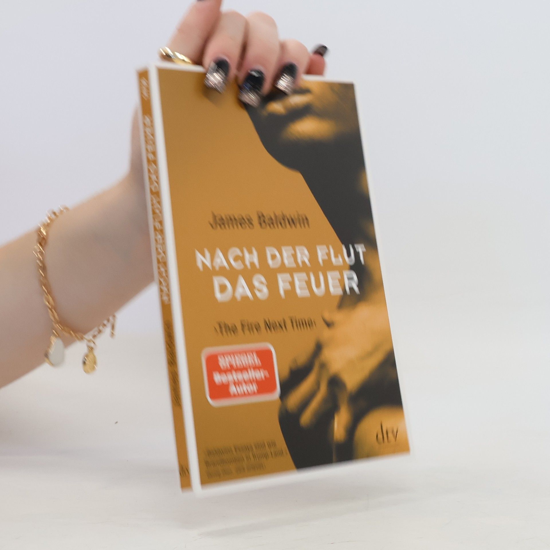 James Baldwin Nach der Flut das Feuer