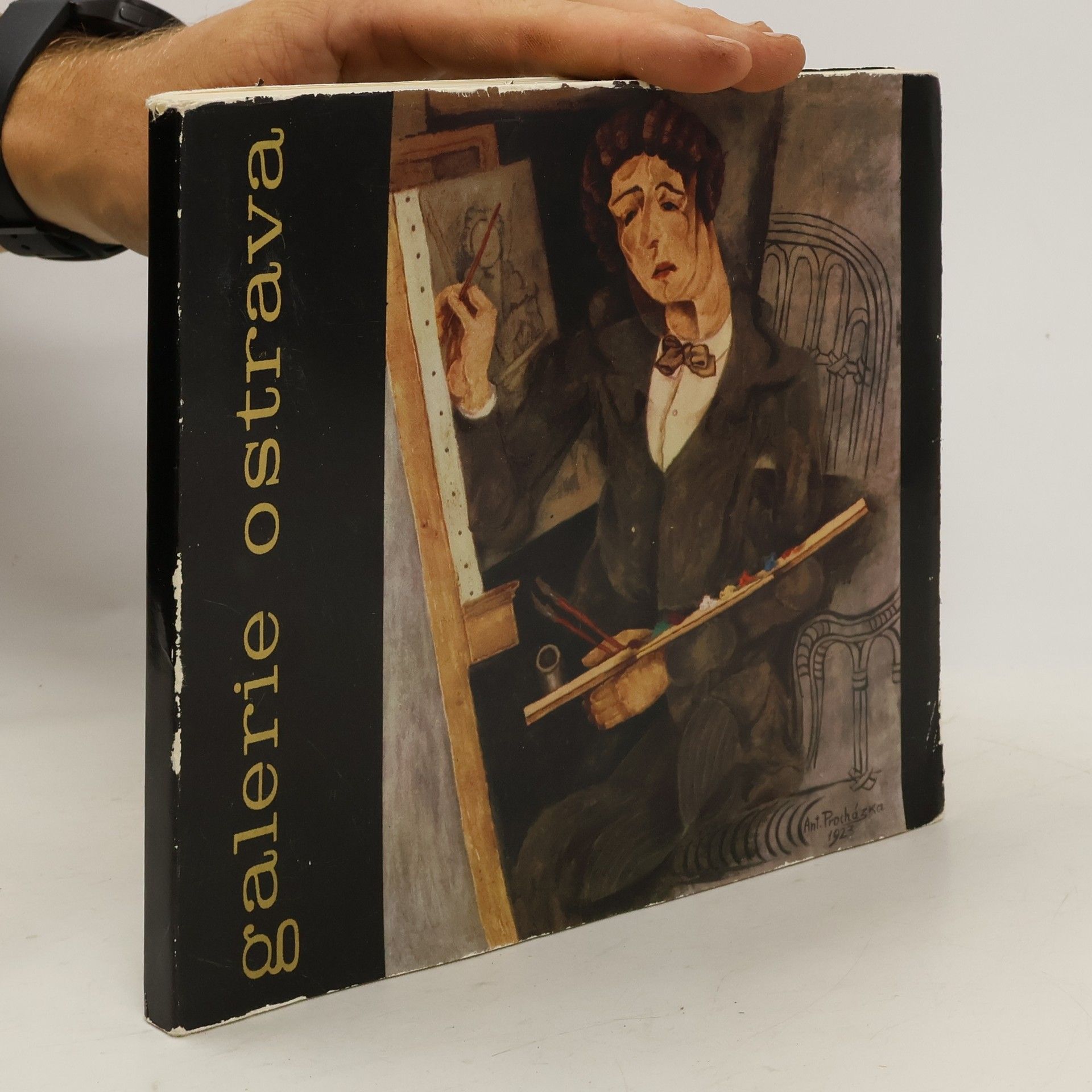 Collectif d'auteurs České malířství XX. století