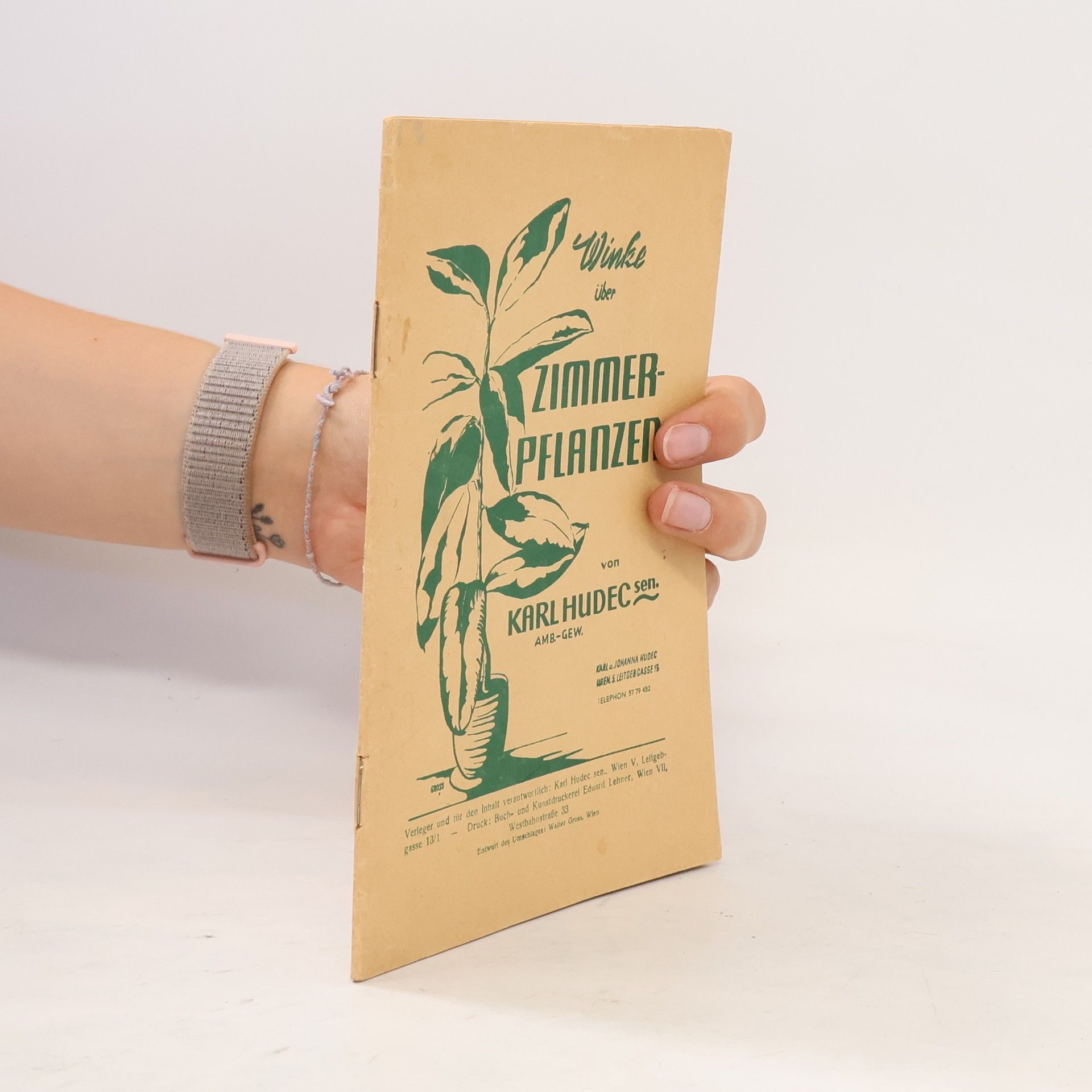 Karl Hudec Zimmer-Pflanzen
