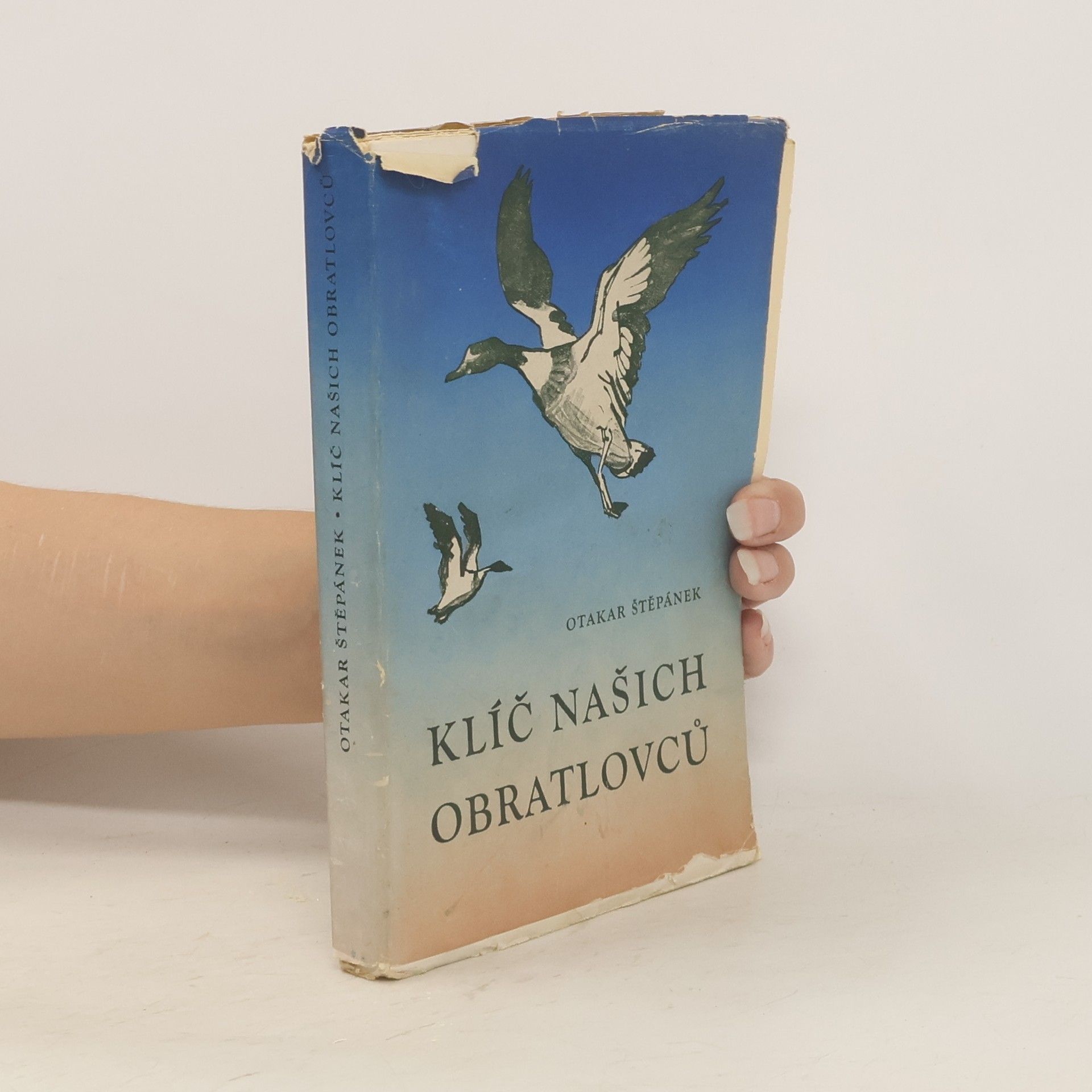 Otakar Štěpánek Klíč našich obratlovců
