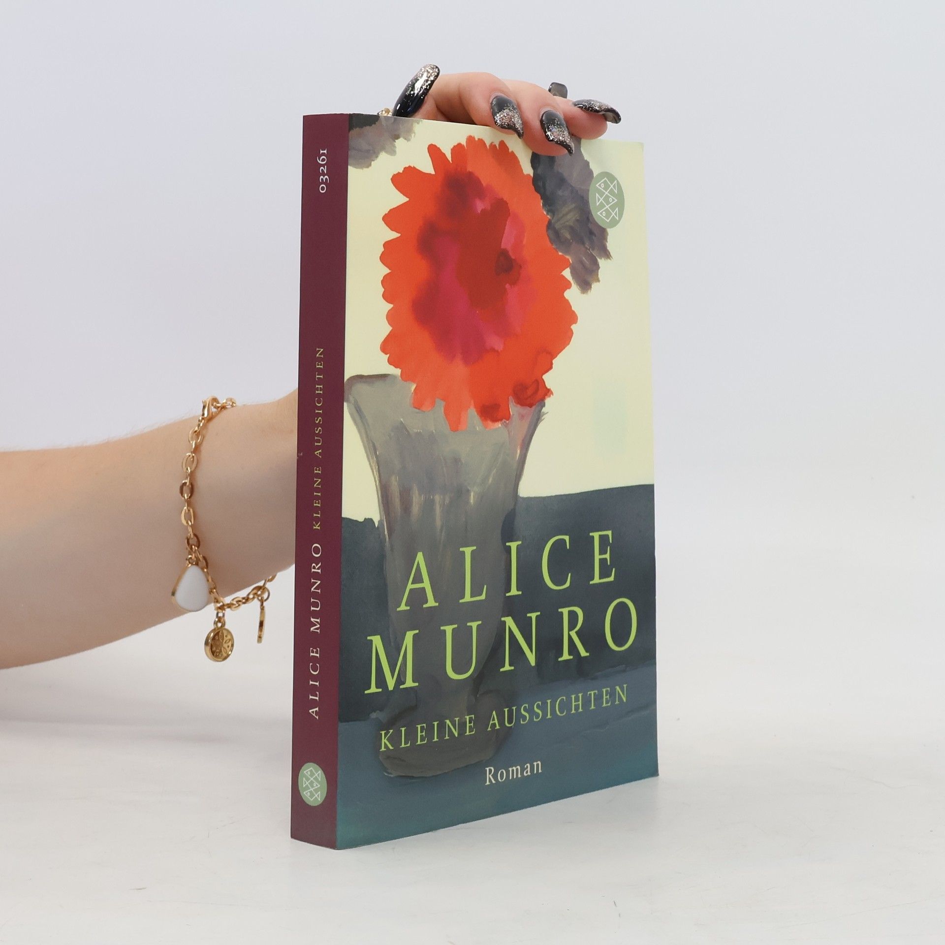 Alice Munro Kleine Aussichten