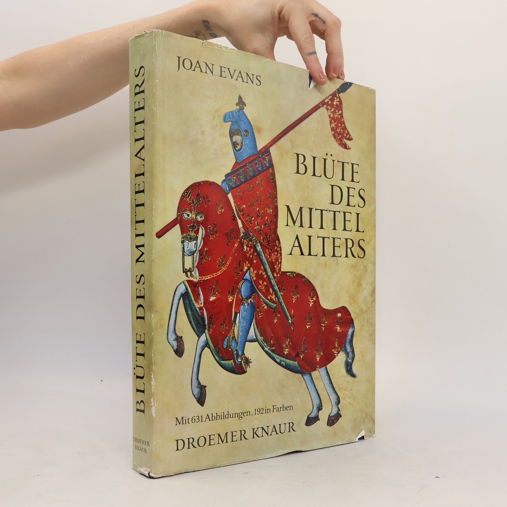 Joan Evans Blüte des Mittelalters
