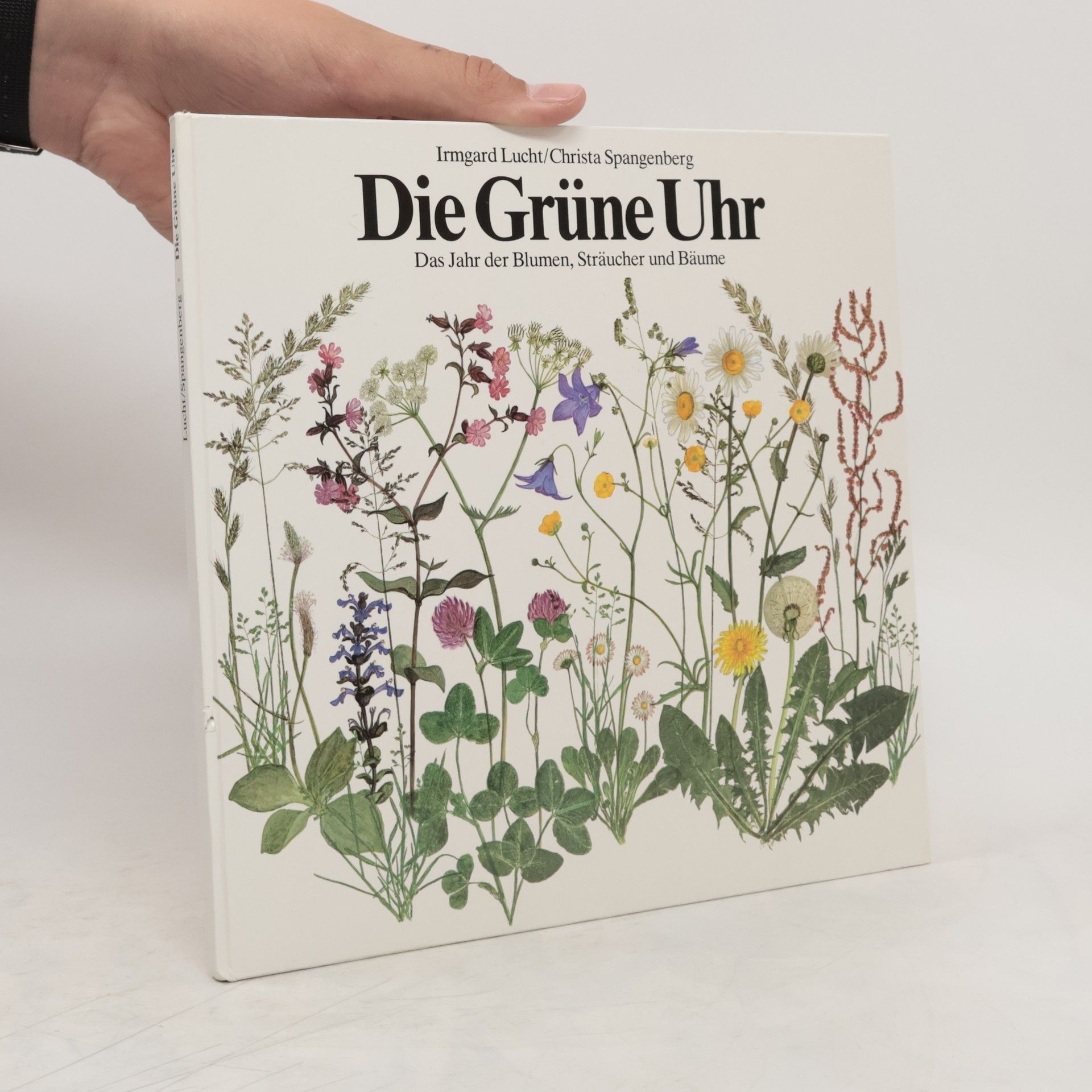 Irmgard Lucht Die Grüne Uhr