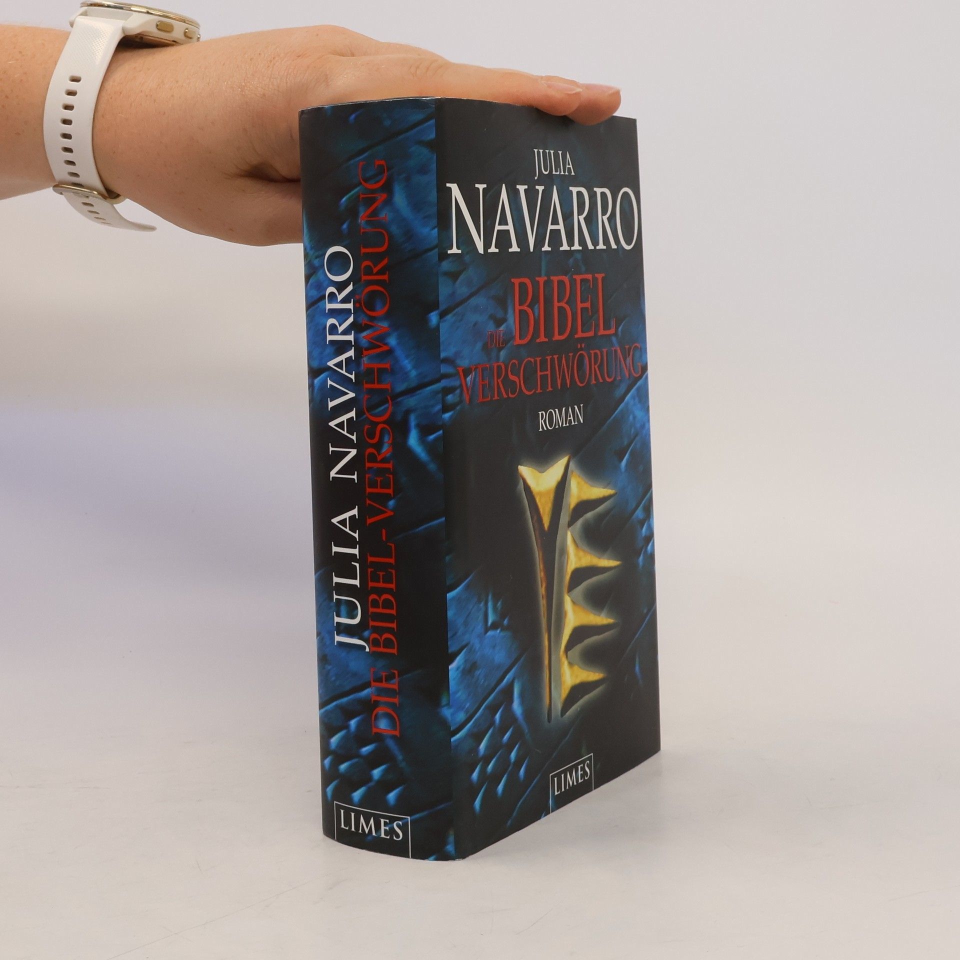 Julia Navarro Die Bibel-Verschwörung