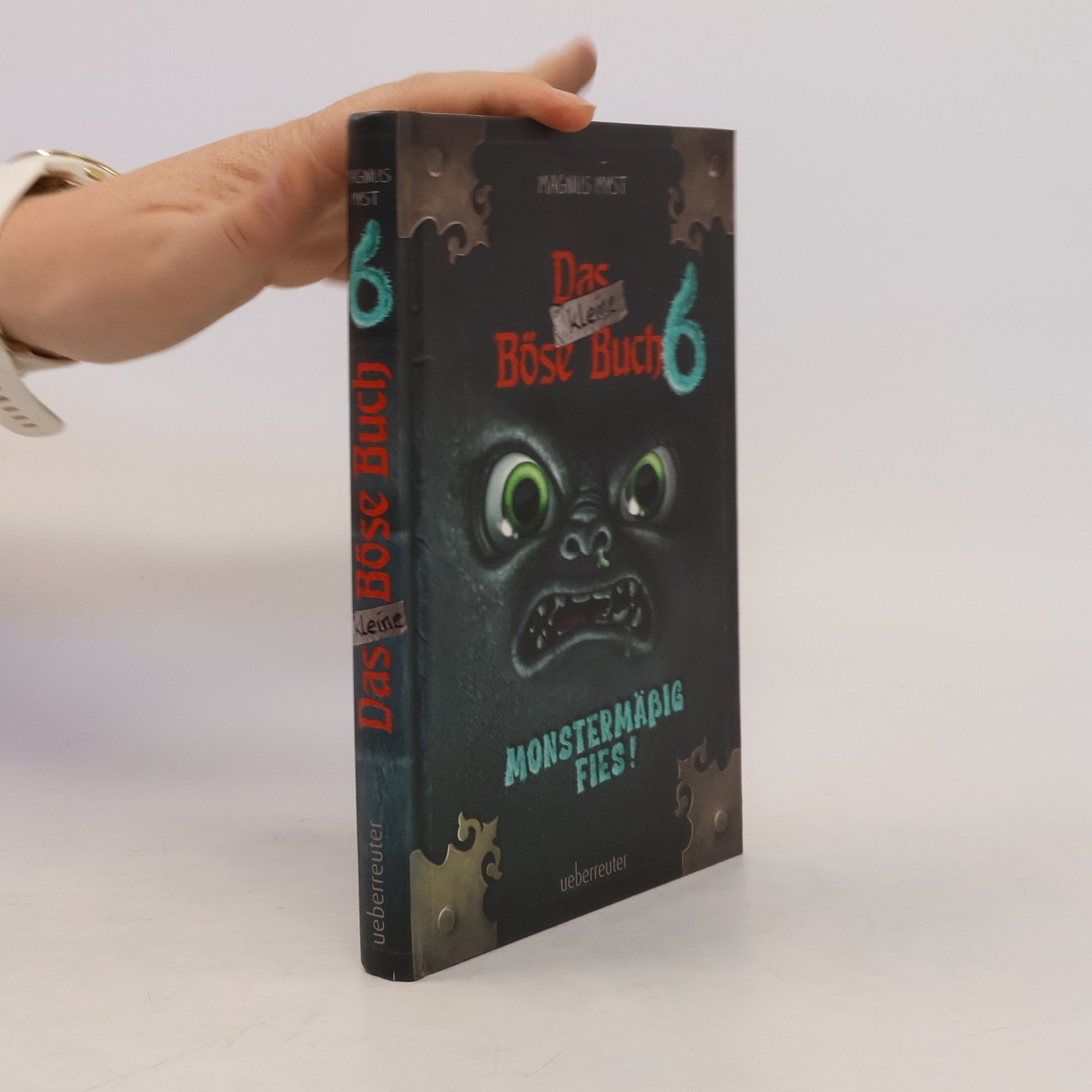 Magnnus Myst Das kleine Böse Buch 6 (Das kleine Böse Buch, Bd. 6)