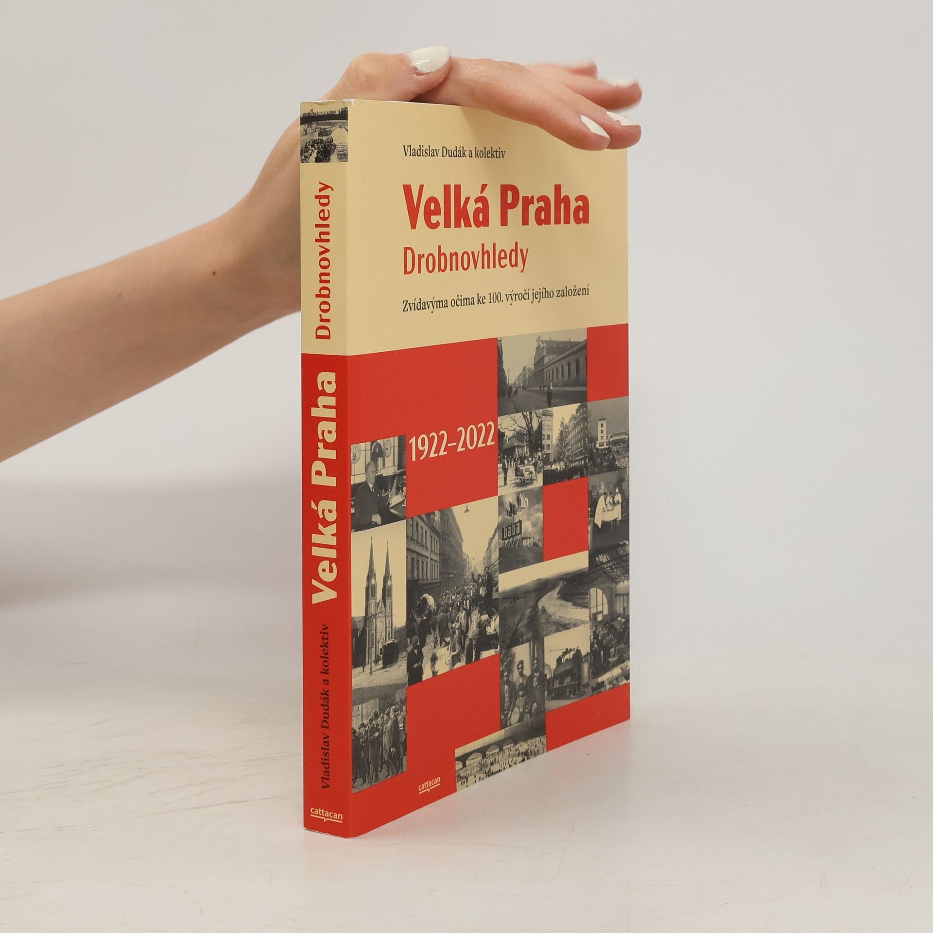 Kolektiv autorů Velká Praha: drobnovhledy