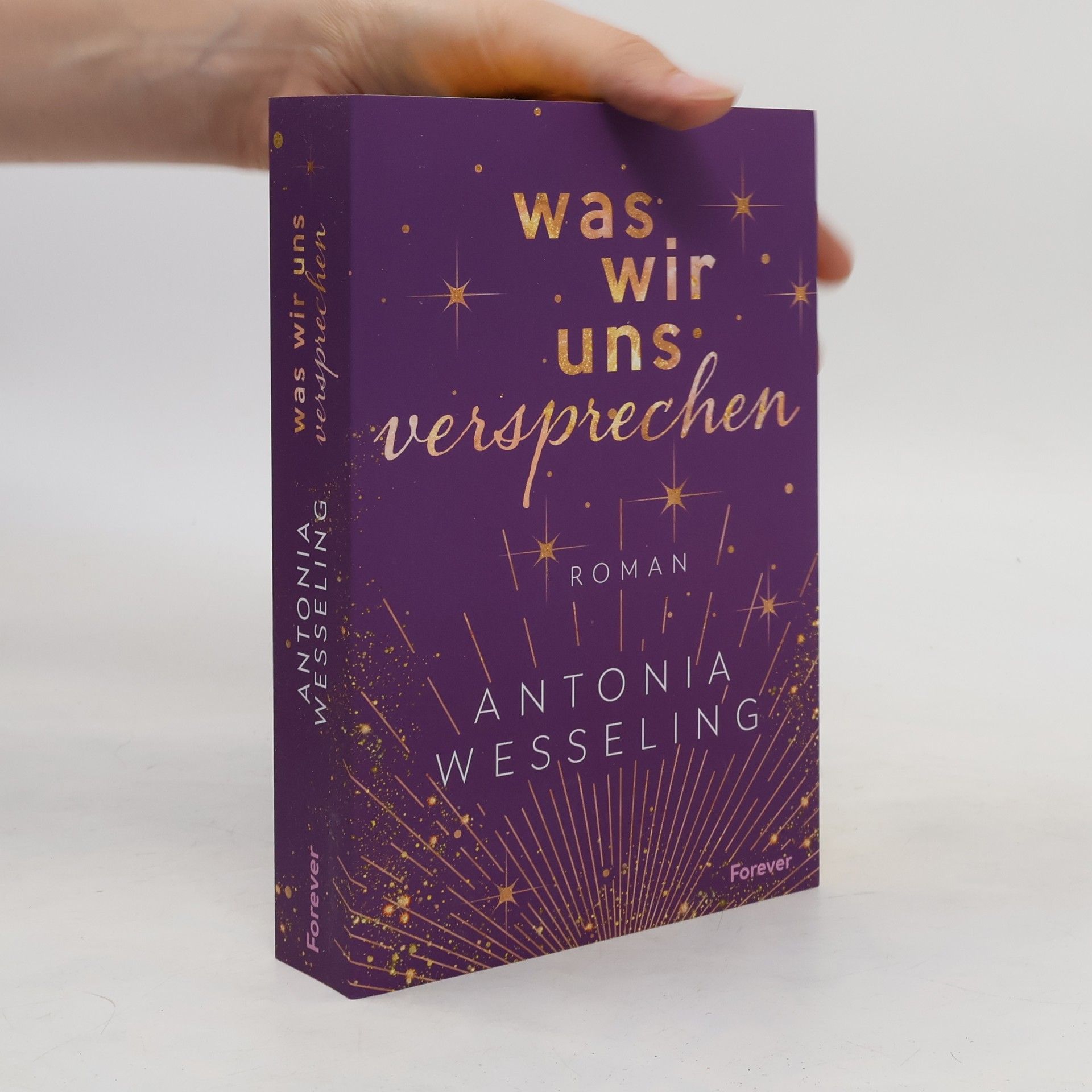 Antonia C. Wesseling Was wir uns versprechen (Light in the Dark 3)