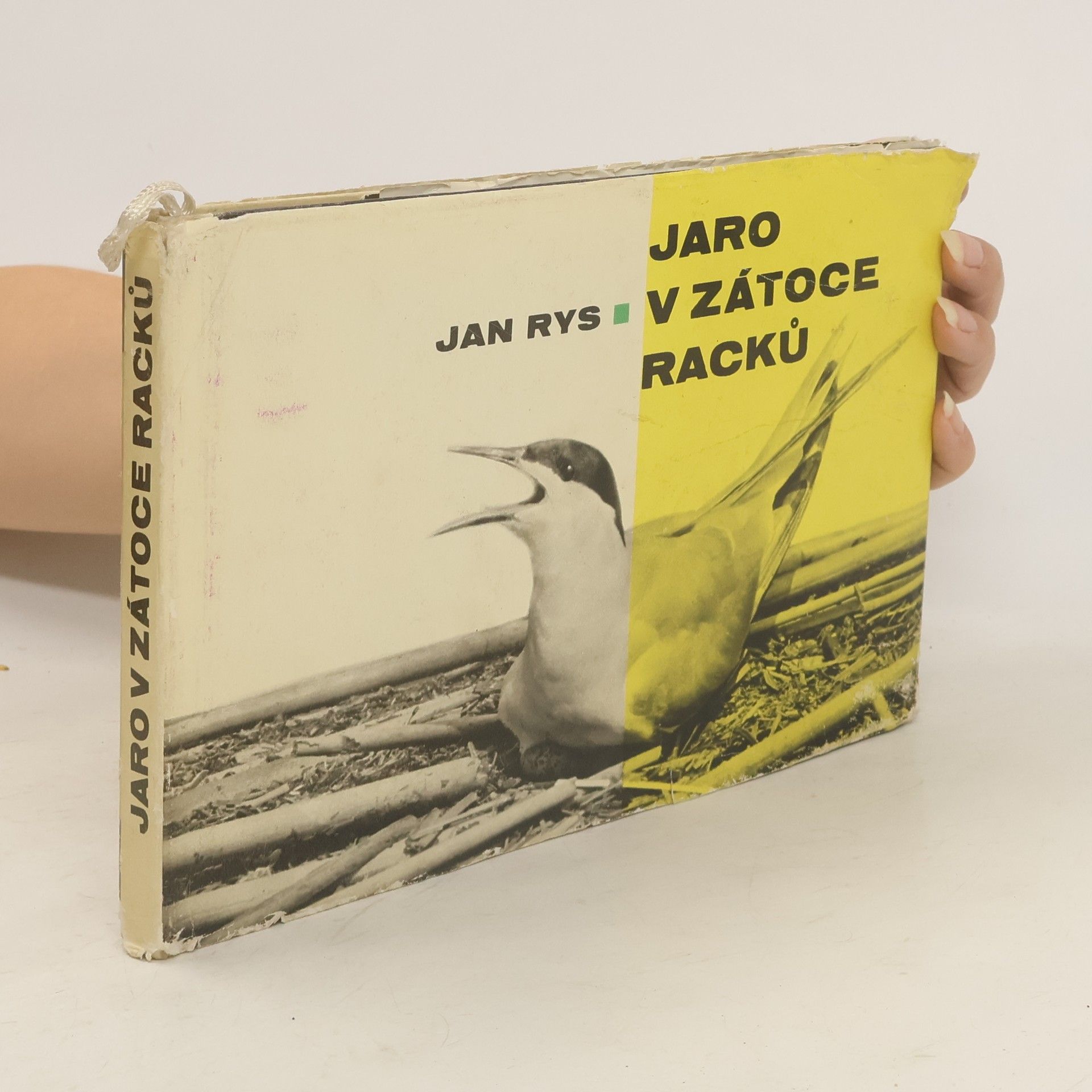 Jan Rys Jaro v zátoce racků